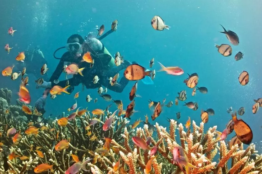 Tawali Leisure & Dive Resort