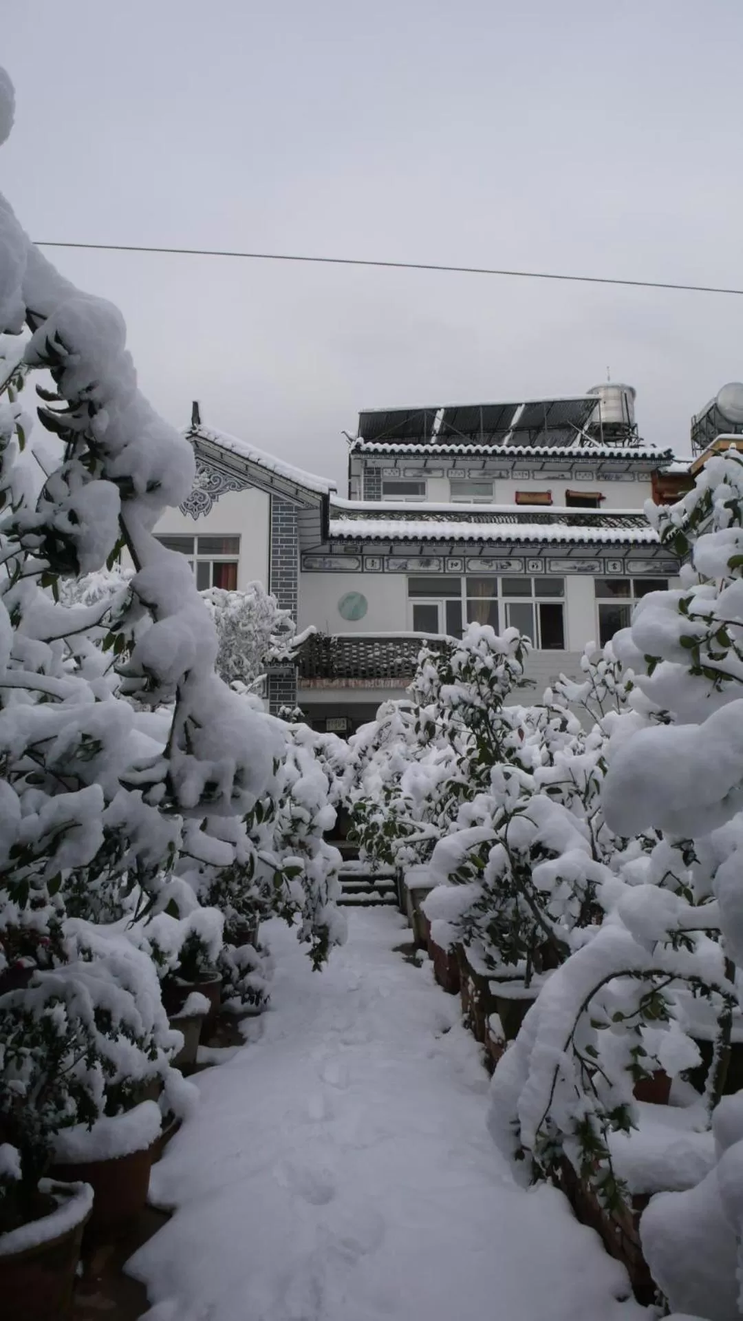 Winter in The Lily Pad Inn