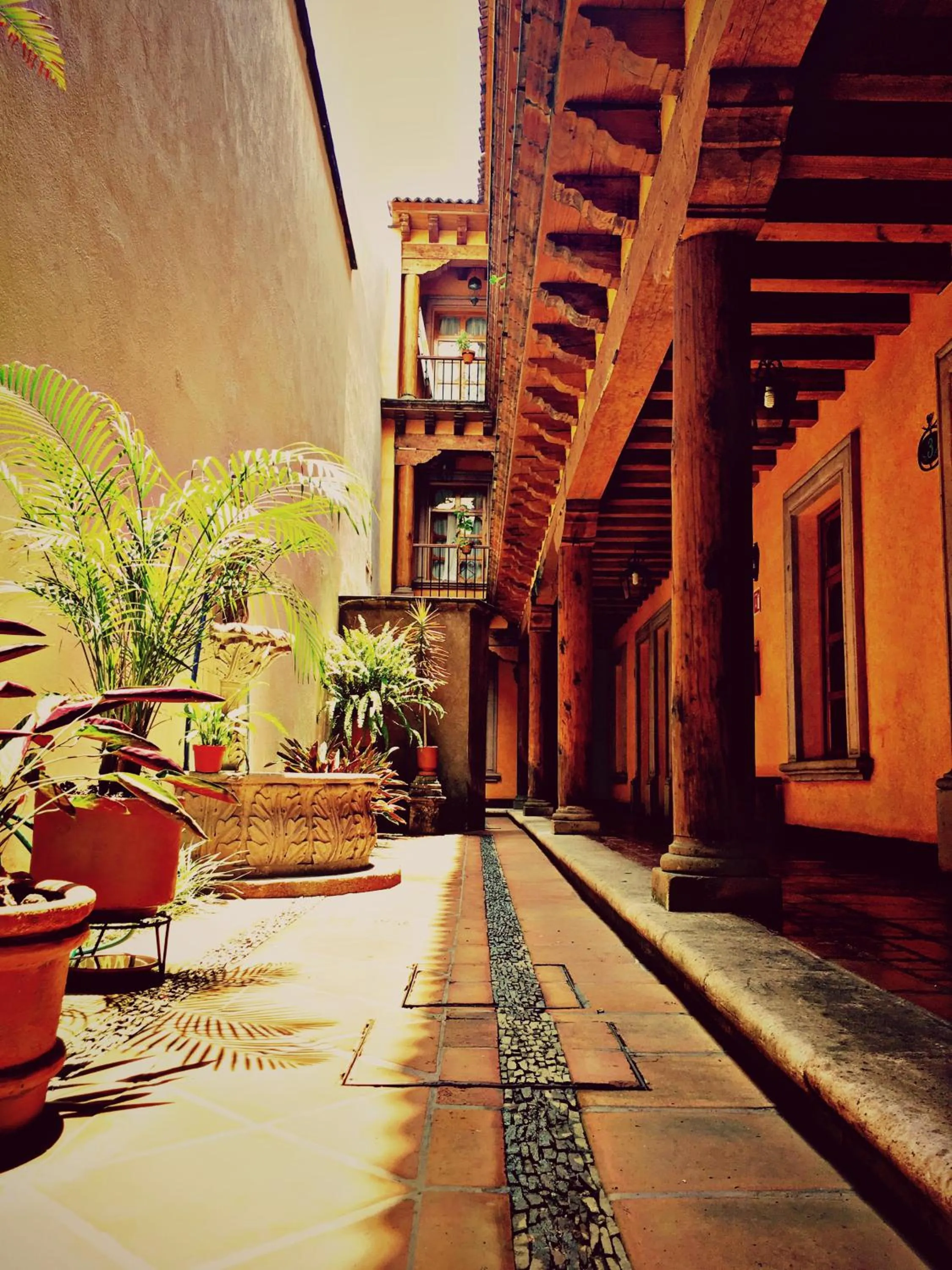 View (from property/room) in Hotel Refugio del Angel