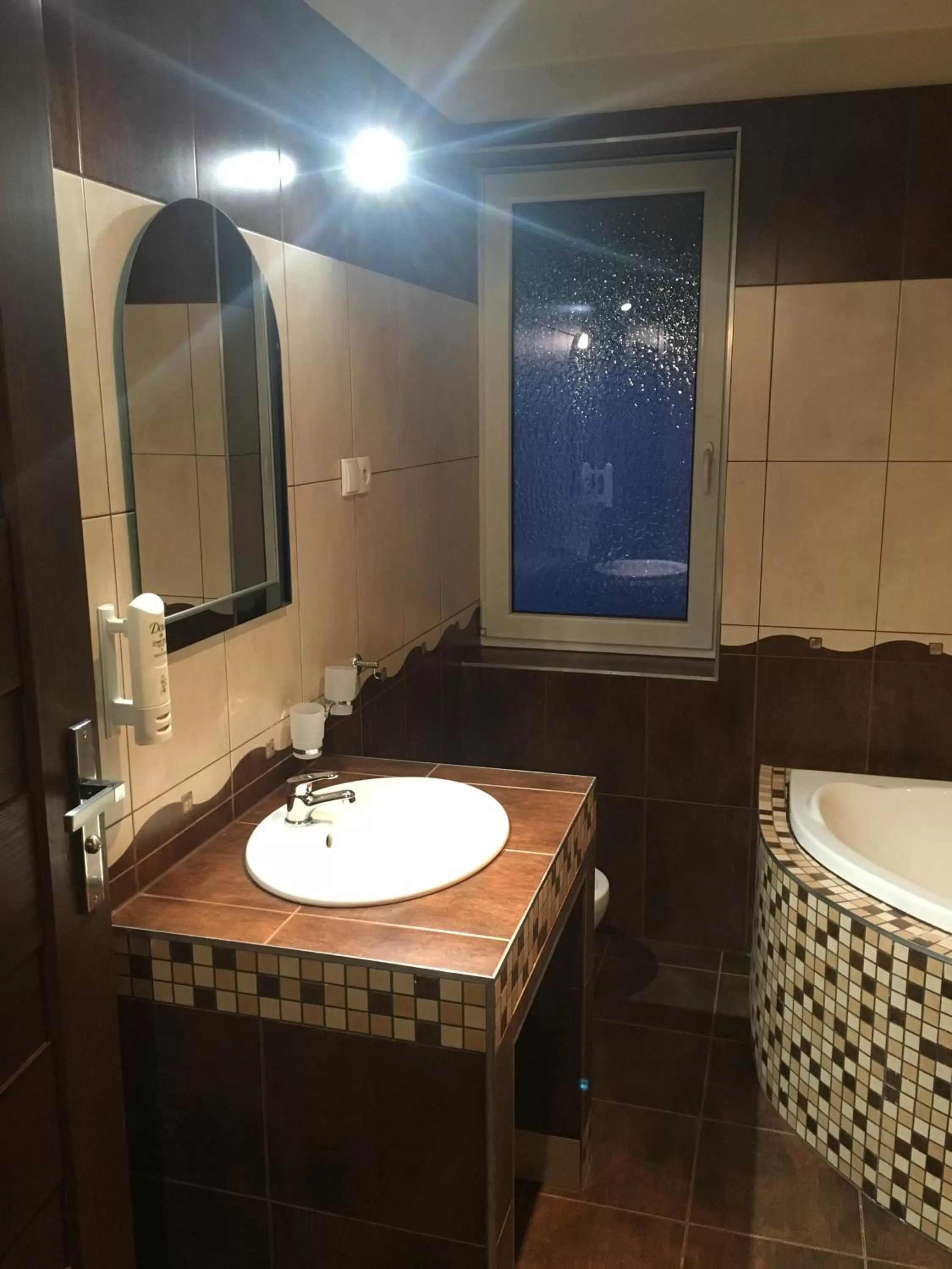 Bathroom in dask resort