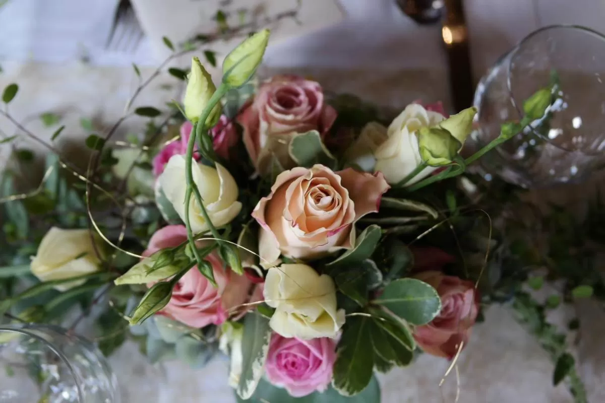 Other, Food in Landhaus Tonmühle