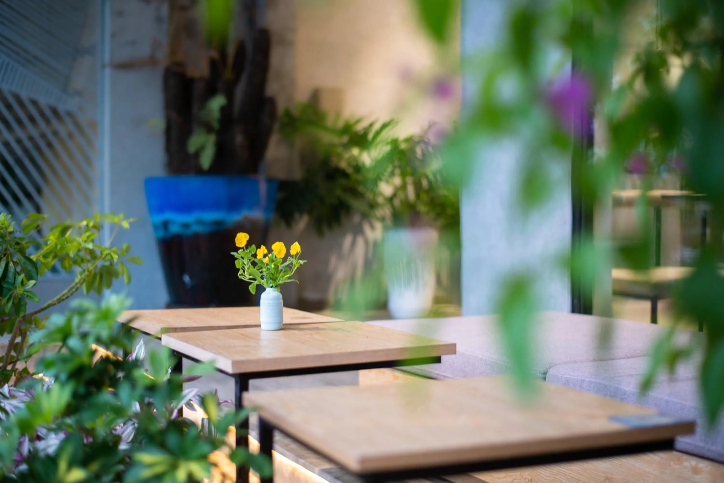 Restaurant/places to eat in Tasme Hotel