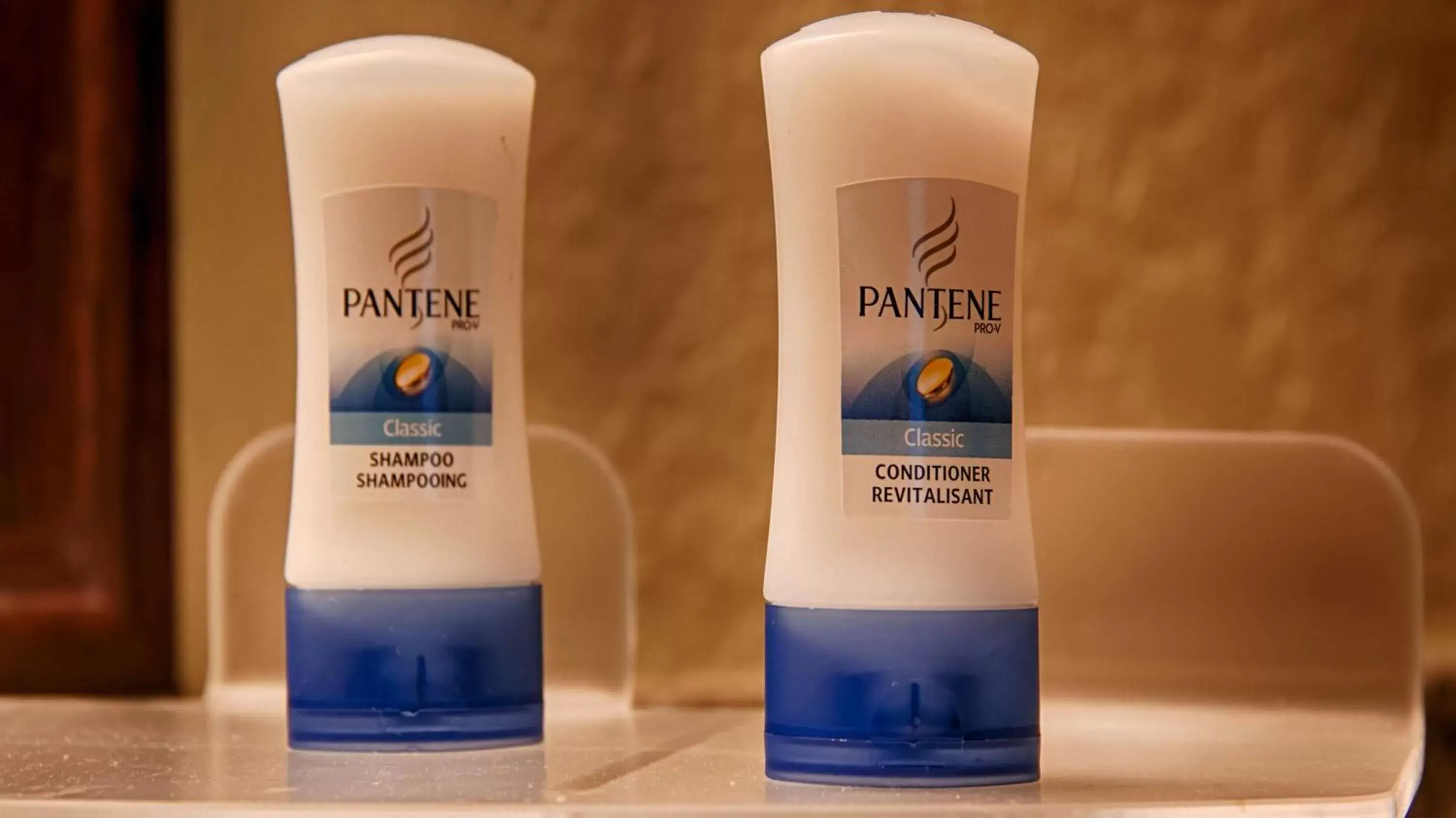 One-Bedroom with Roll-in Shower - Disability Access/Non-Smoking in Best Western Plus Siesta Key Gateway One-Bedroom with Roll-in Shower - Disability Access/Non-Smoking in Best Western Plus Siesta Key Gateway