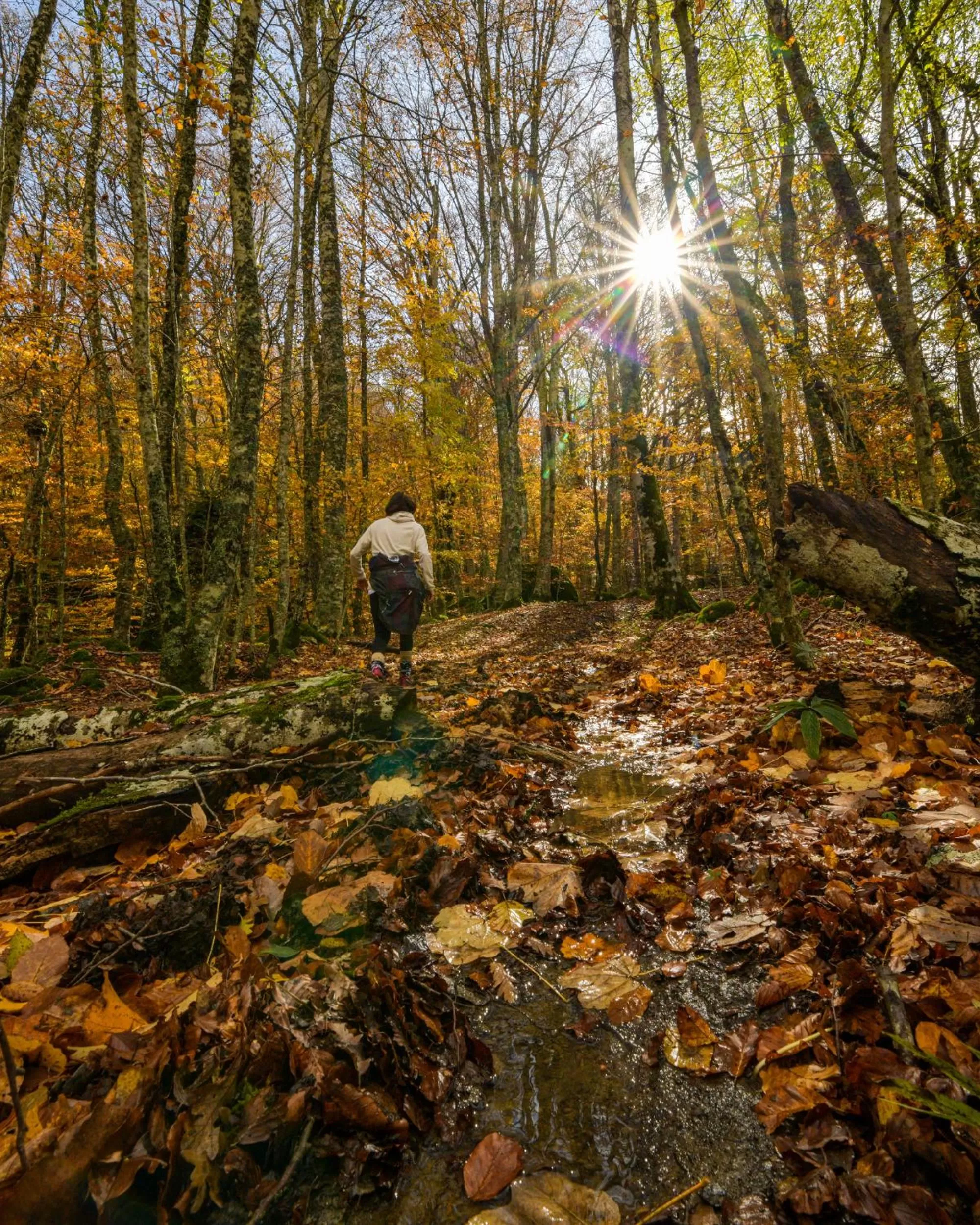 novanta nature retreat