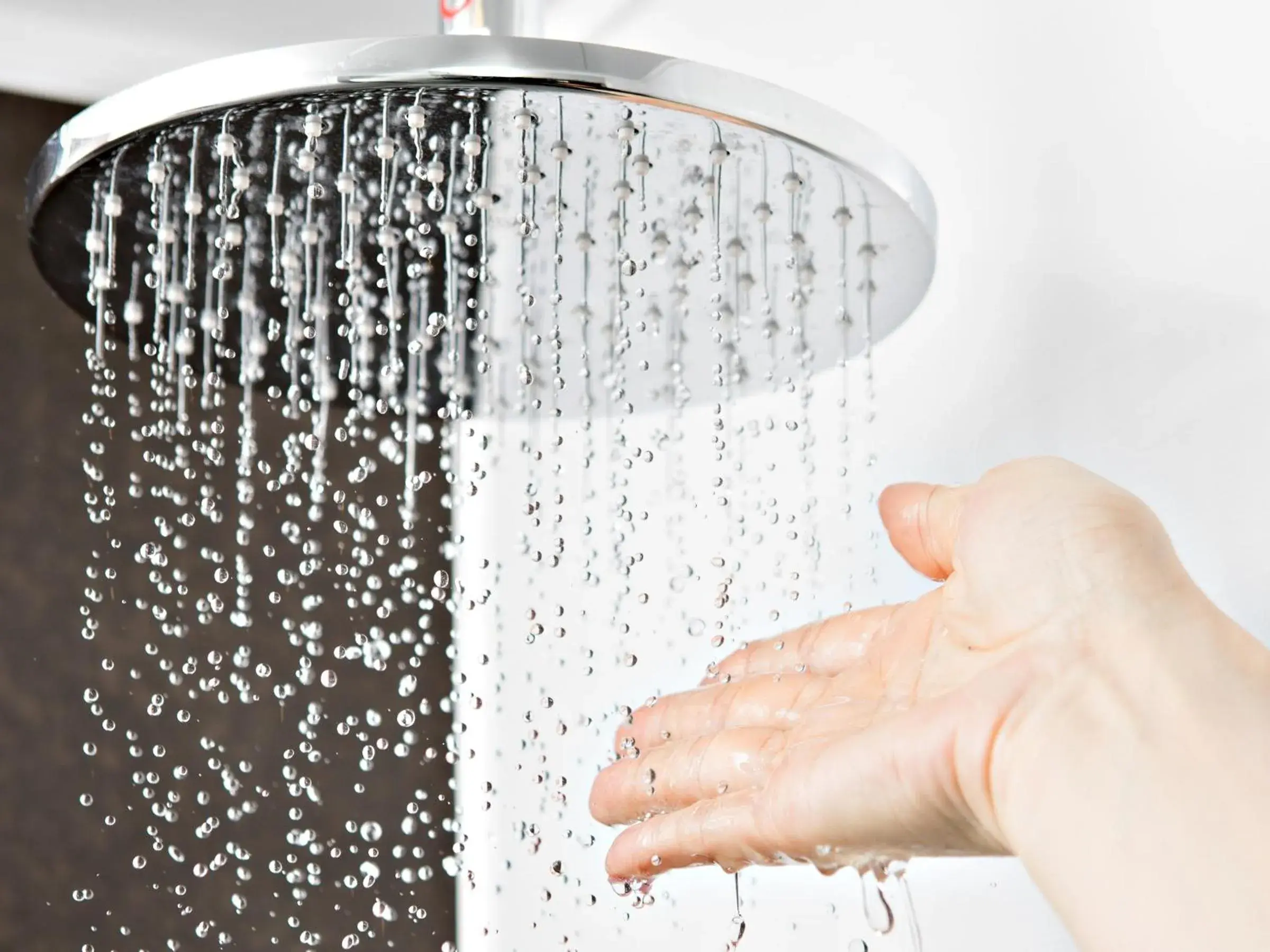 Superior Twin Room in the b ginza Superior Twin Room in the b ginza