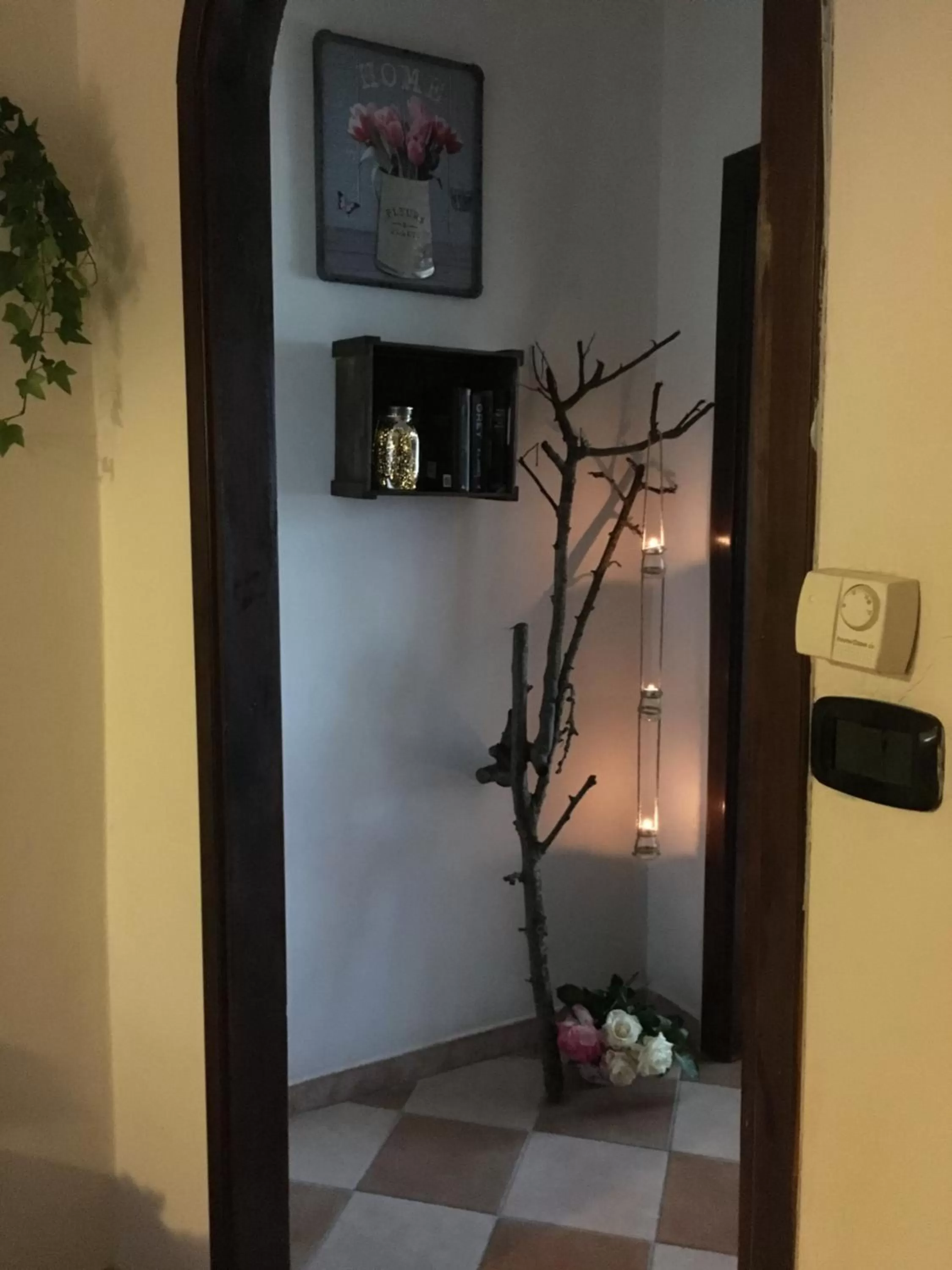 Rossella alla Villarella dei Tulipani