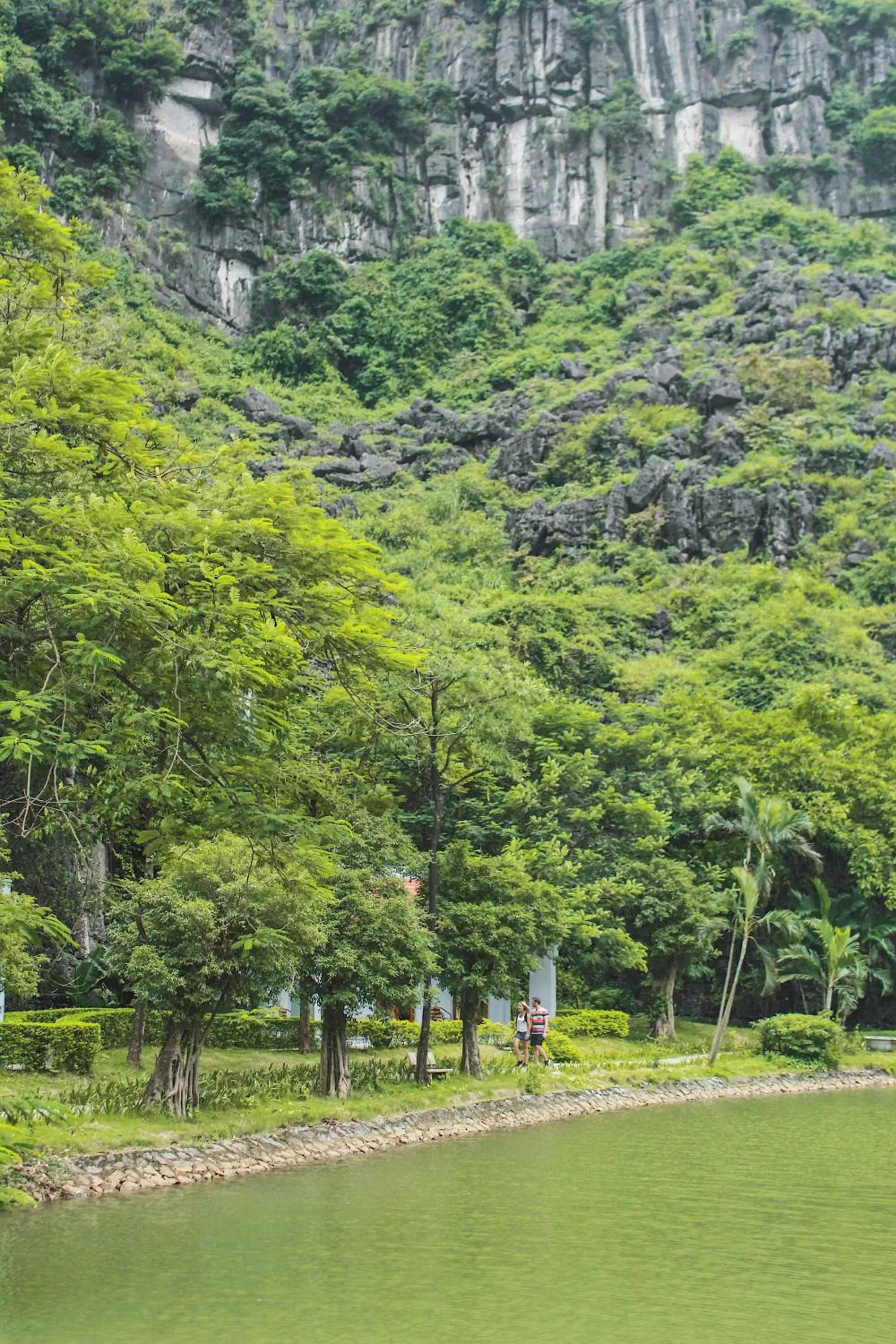 Natural landscape in Mua Caves Ecolodge (Hang Mua)