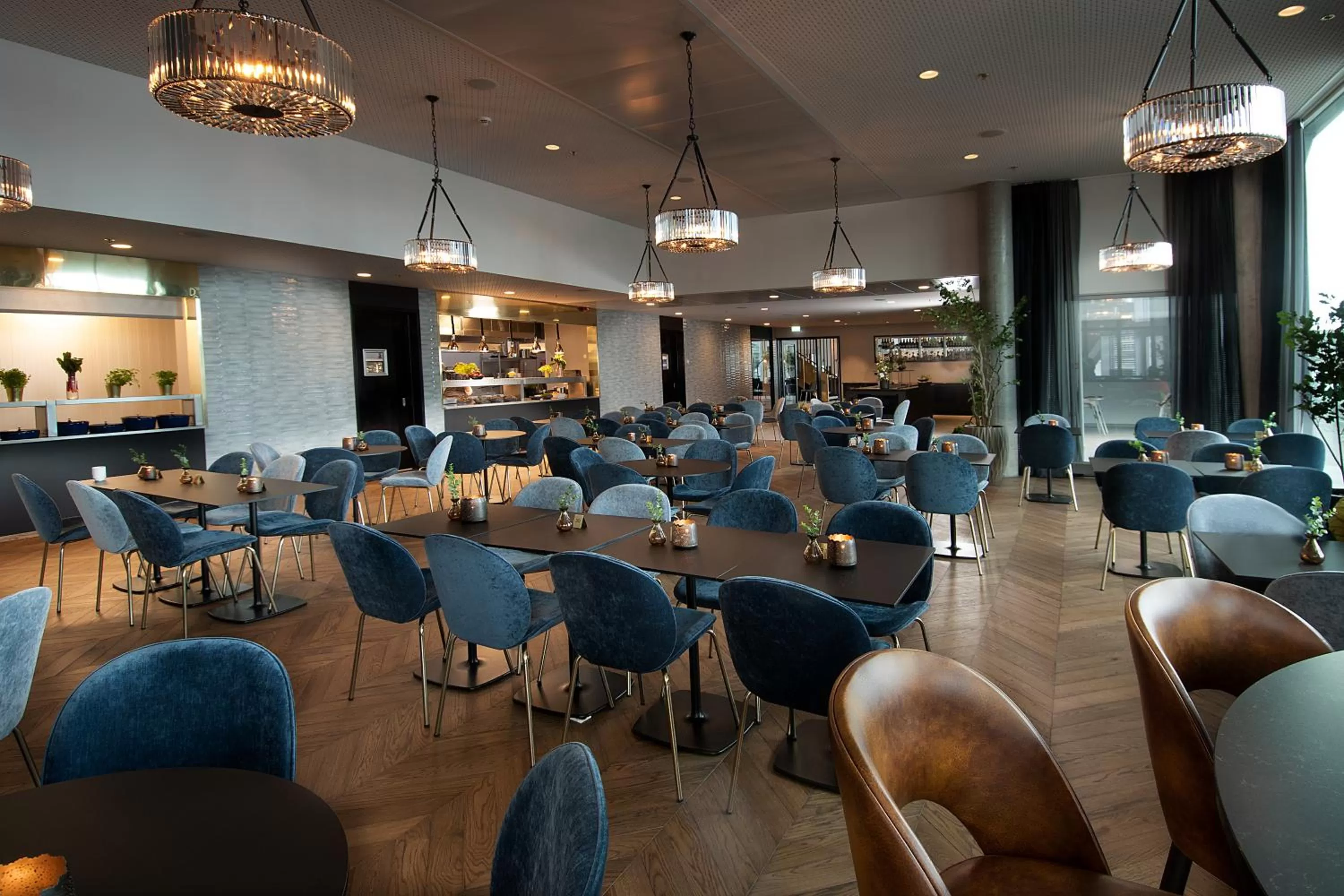 Restaurant/places to eat in Mandal Hotel