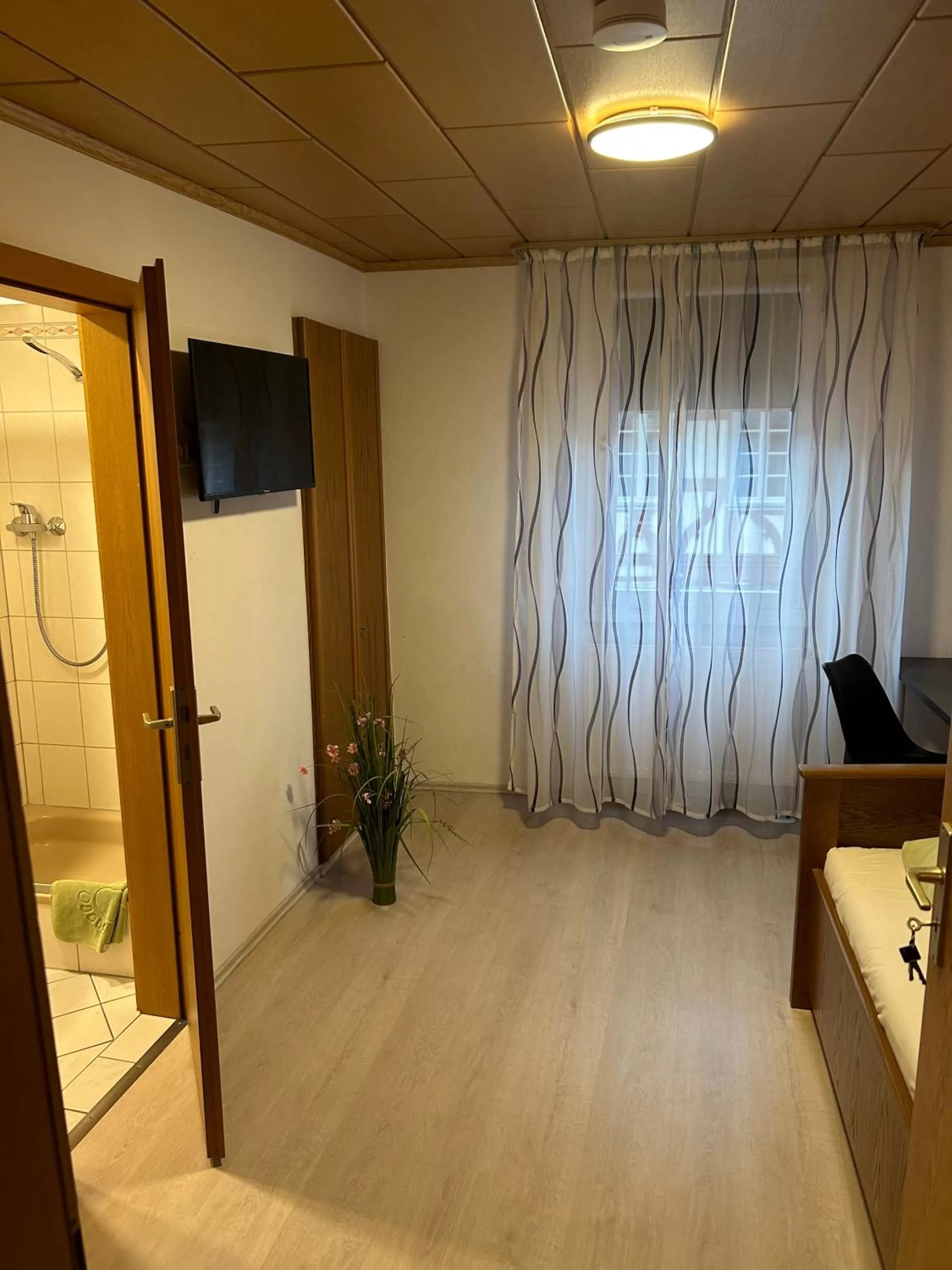 TV/Entertainment Center in Bed and Breakfast - Rheingauer Hof