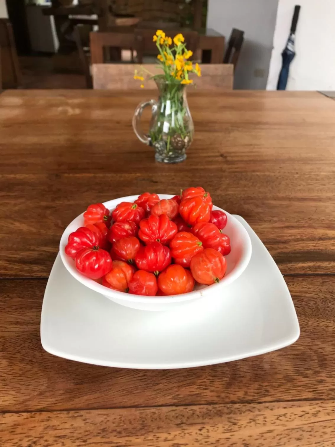 Food and drinks in Achiotte Hotel Boutique by Masaya