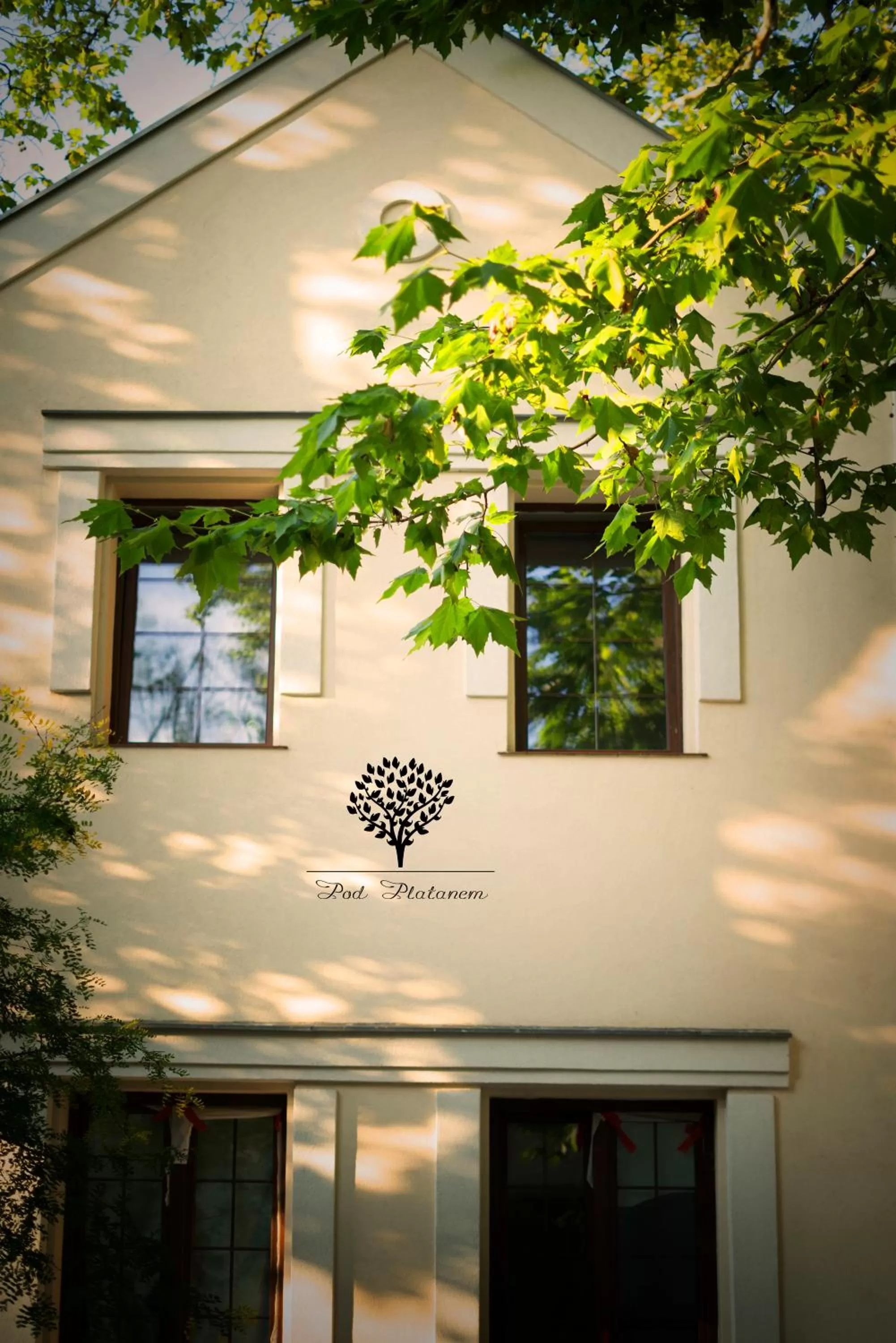 Pod Platanem Gliwice