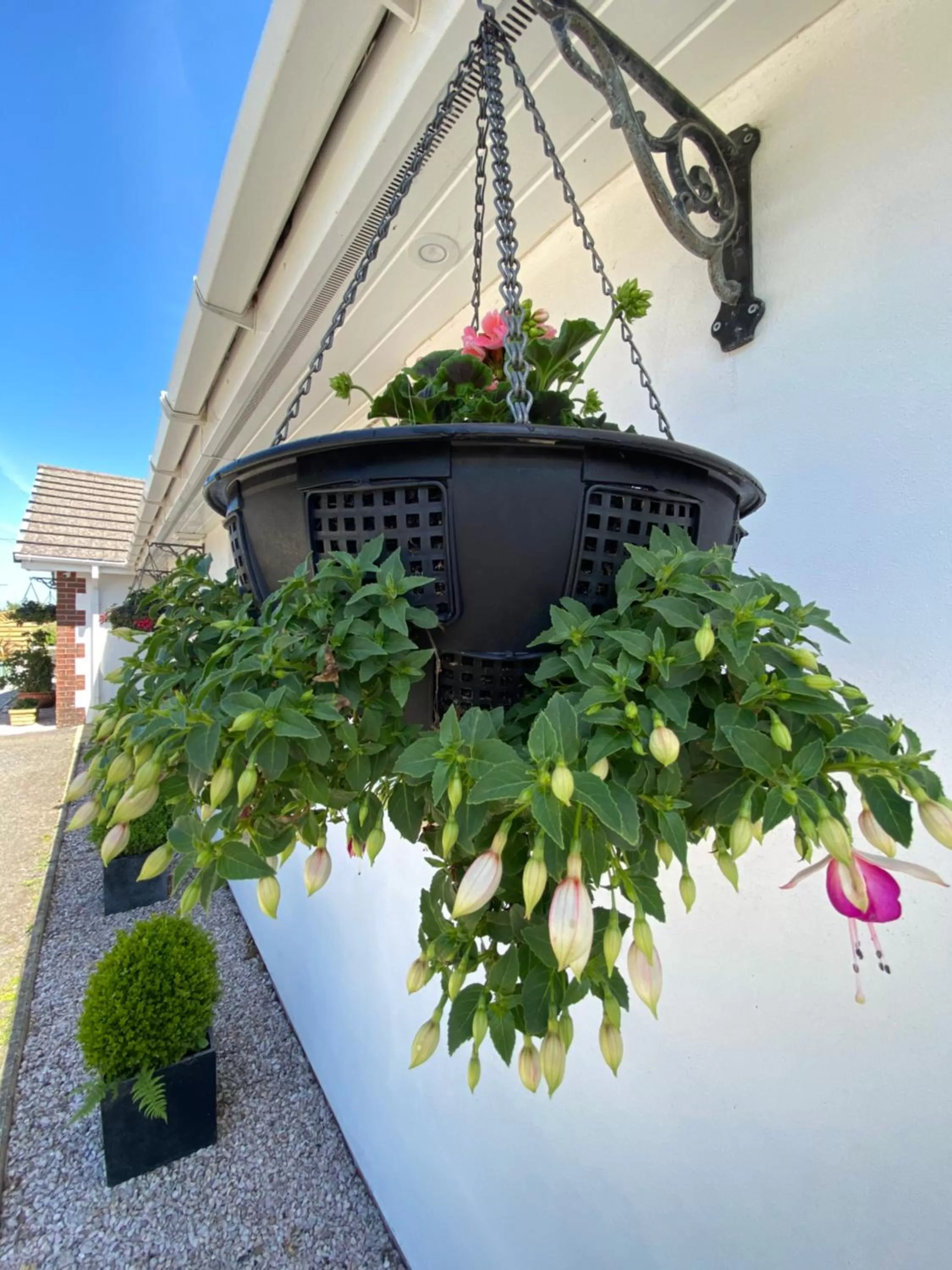 Toppesfield House B&B