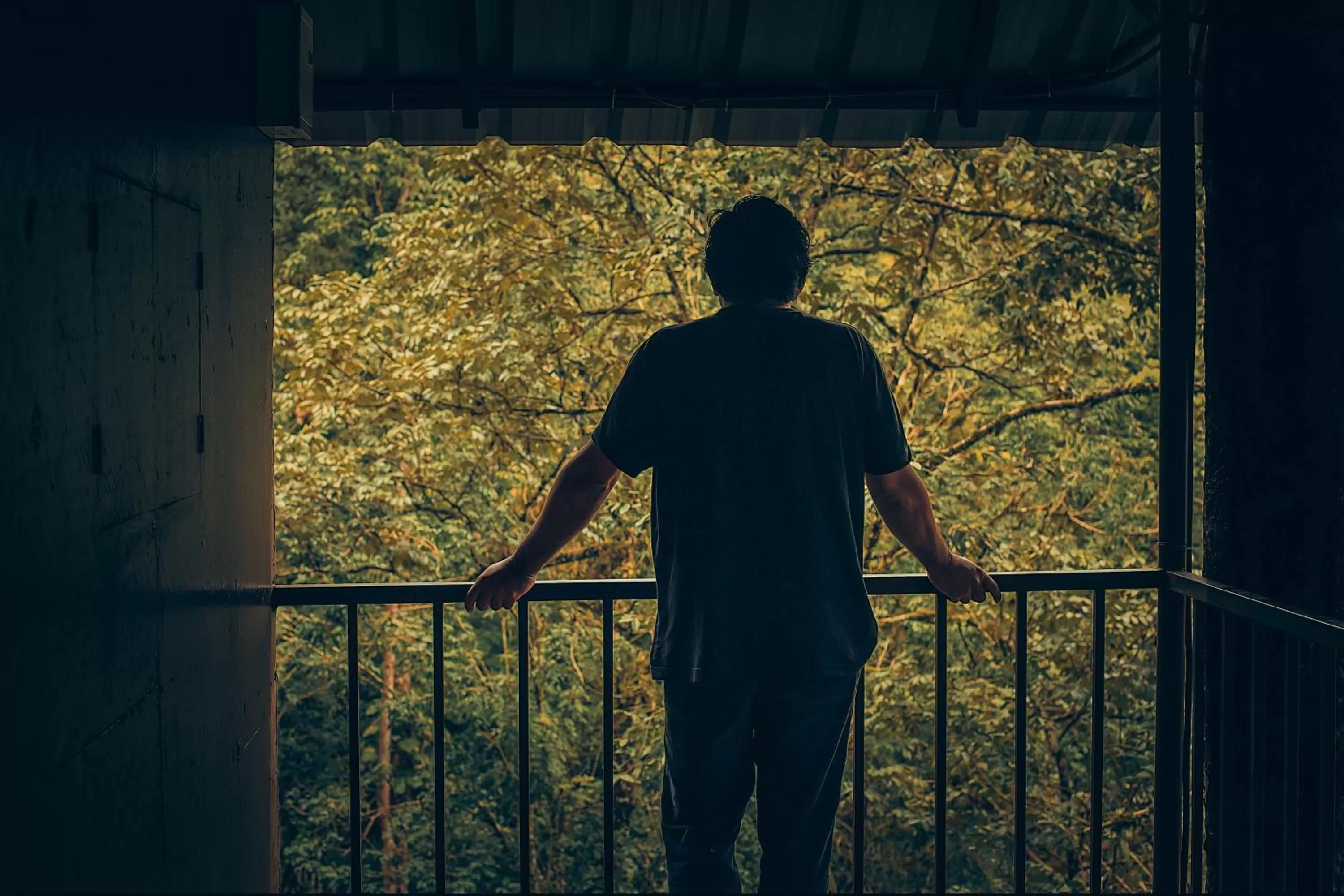 View (from property/room) in Ela Ecoland Nature Retreat