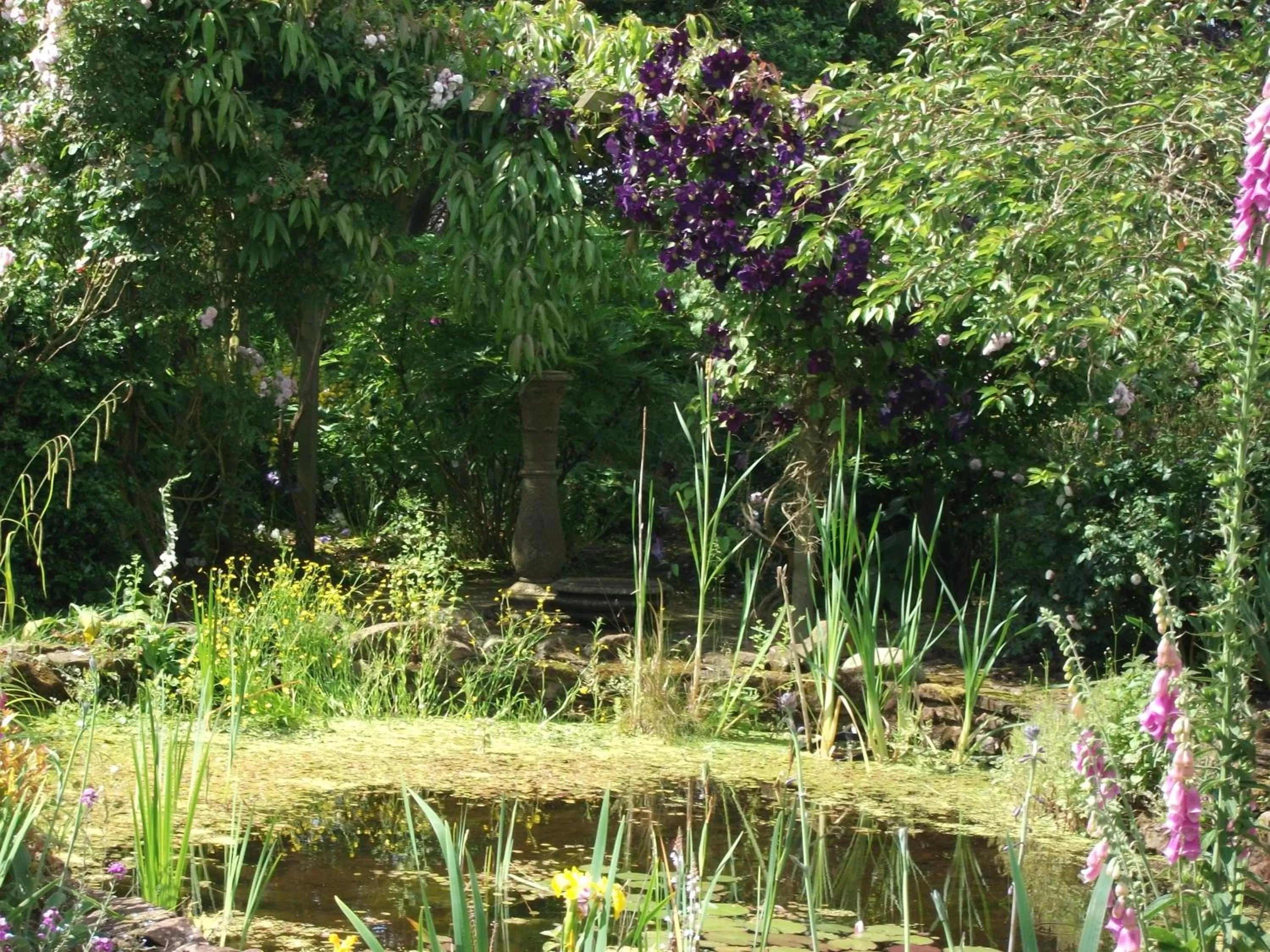 Garden in Church Farm B&B near Telford and Ironbridge