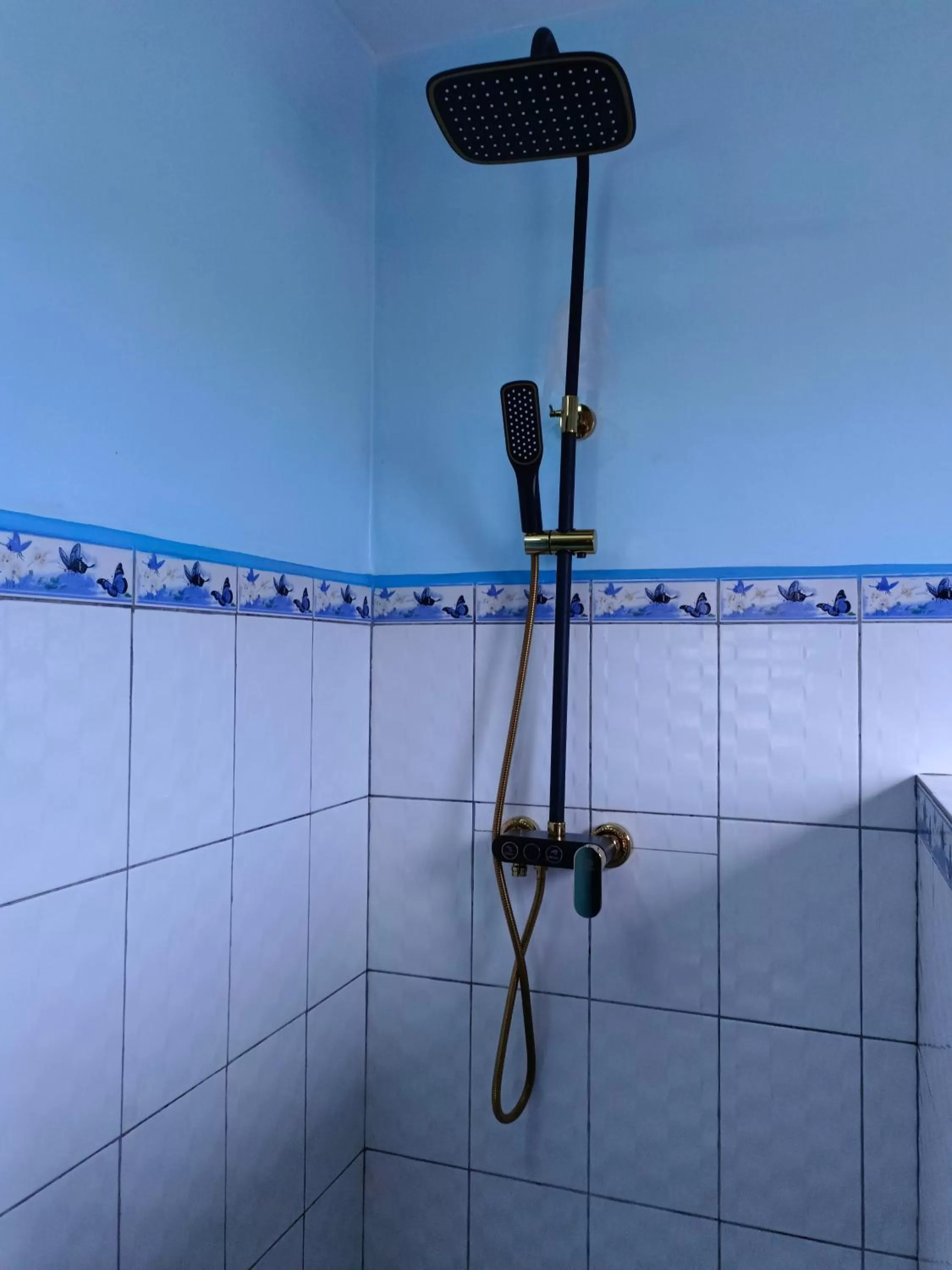 Shower, Bathroom in Antsirabe Hotel