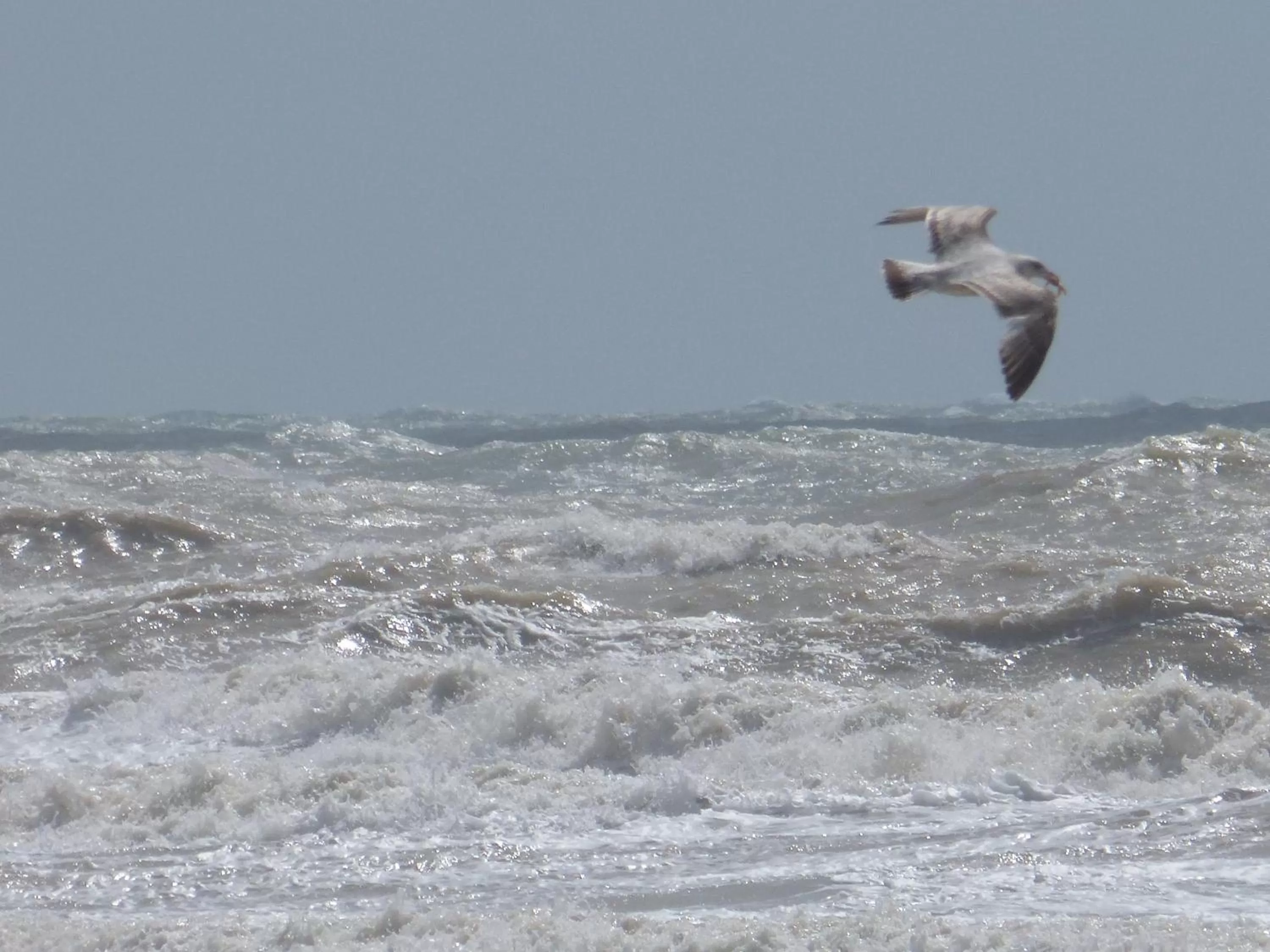 Sea view in The Iverna