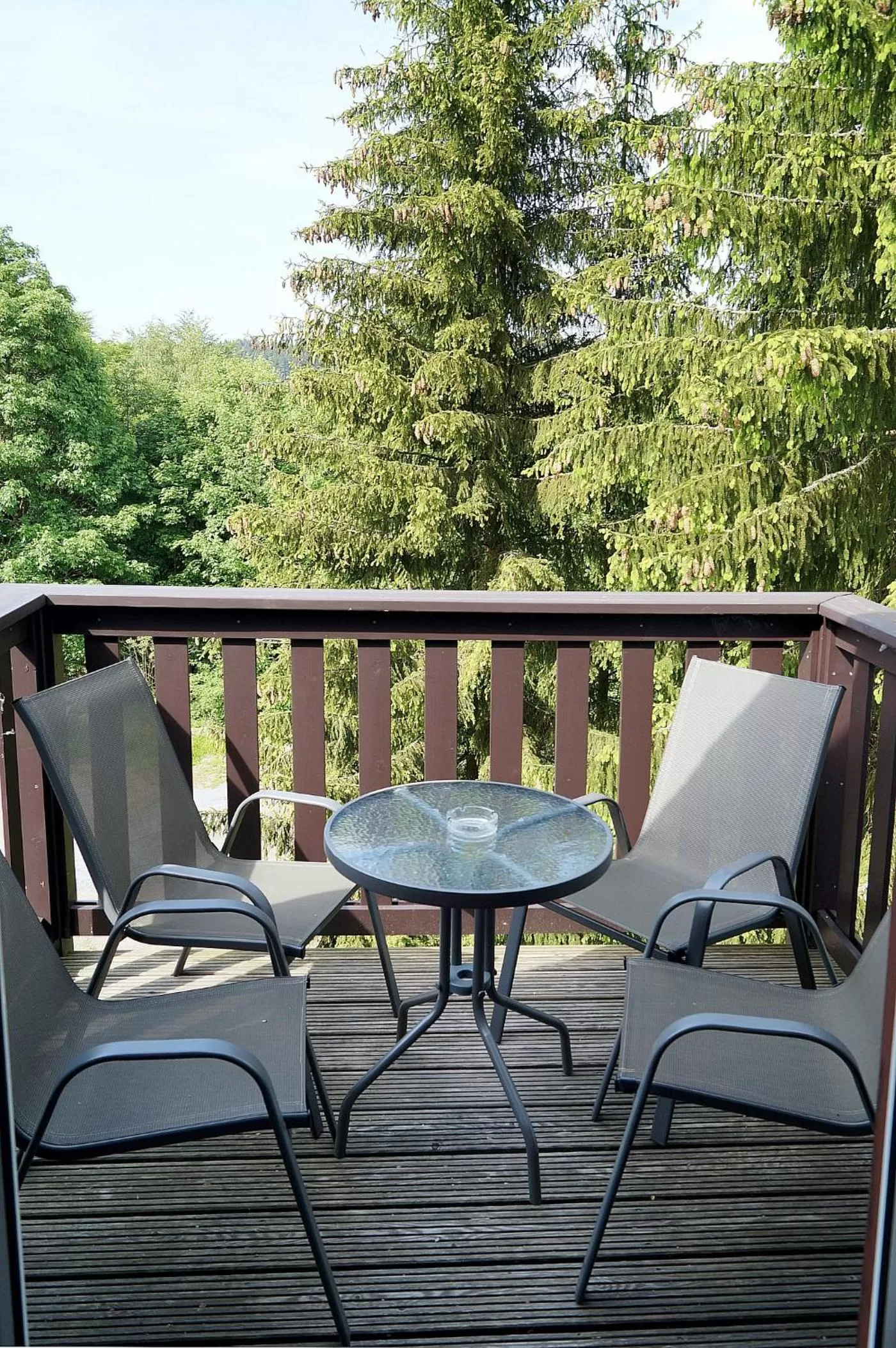 Balcony/Terrace in Erzgebirgshotel Misnia Bärenfels