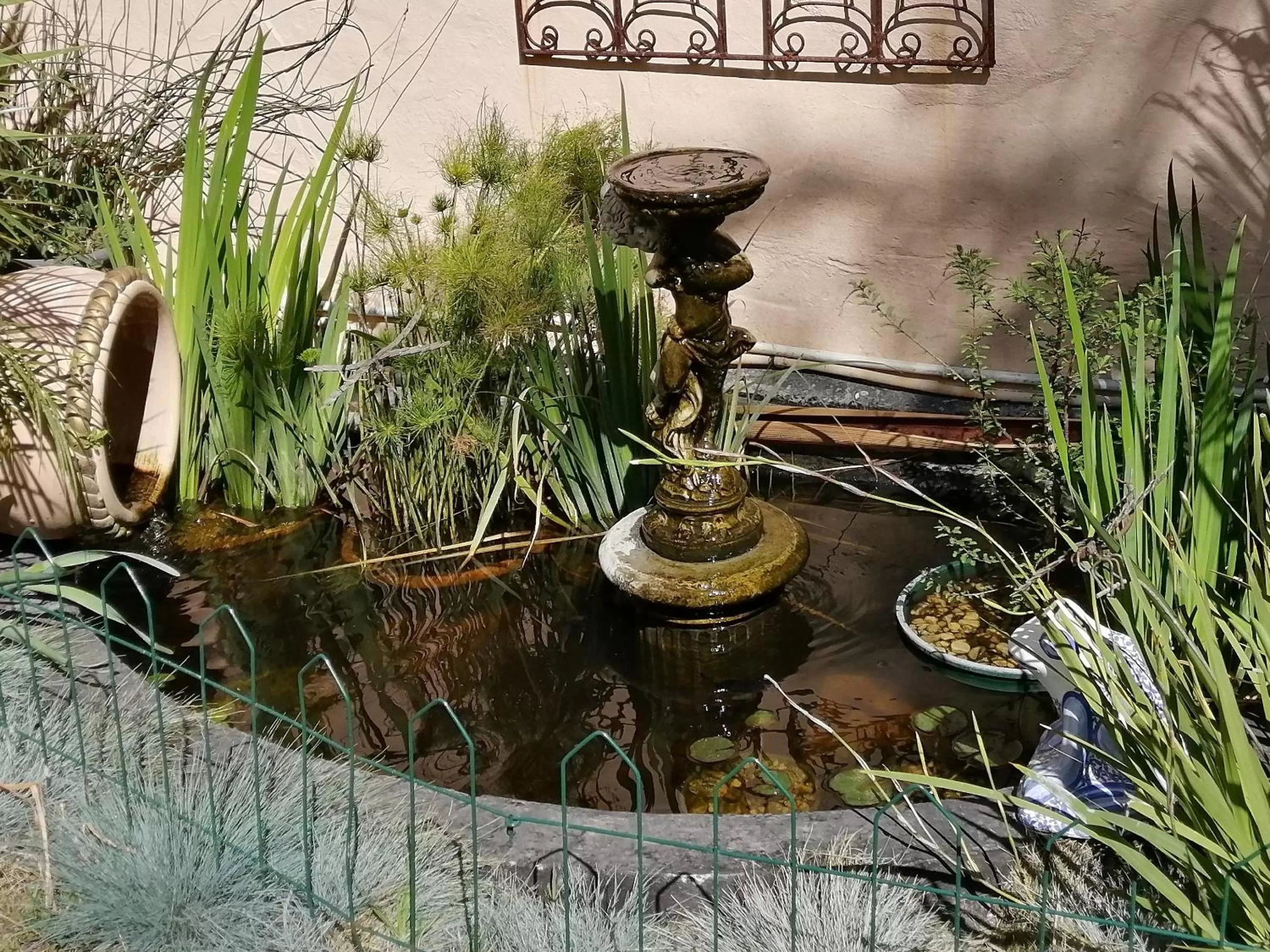 Garden in Squirrels Corner