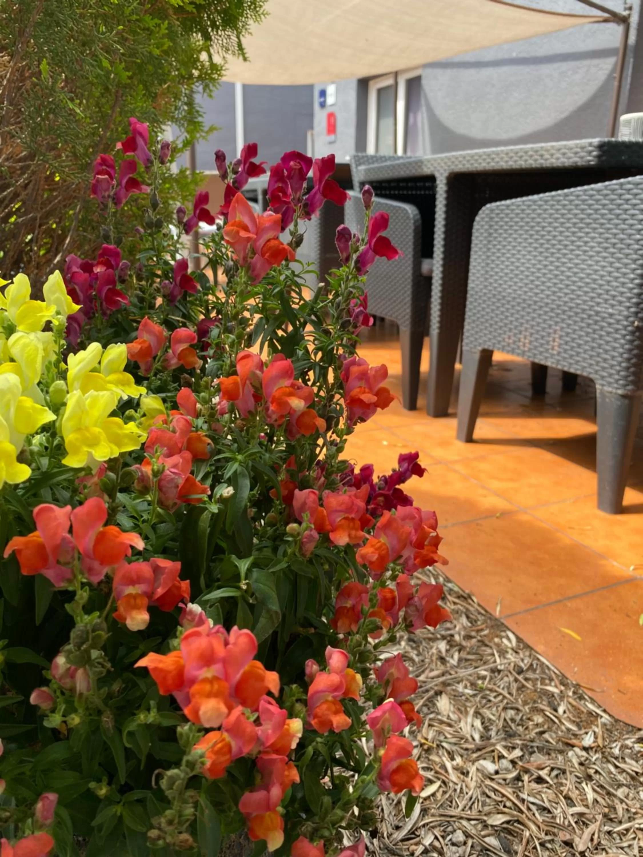 Patio in Contact Hotel LE SUD Montpellier Aéroport Parc Expo Arena