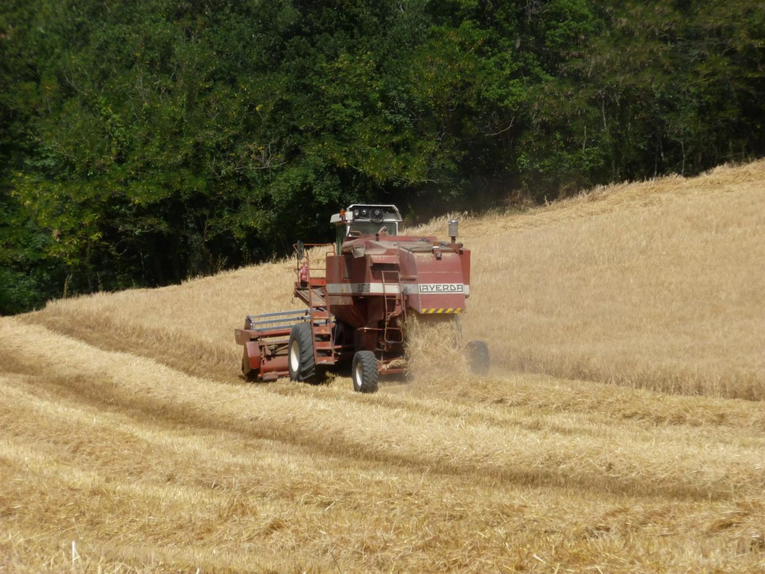 View (from property/room) in Agriturismo Rio Verde