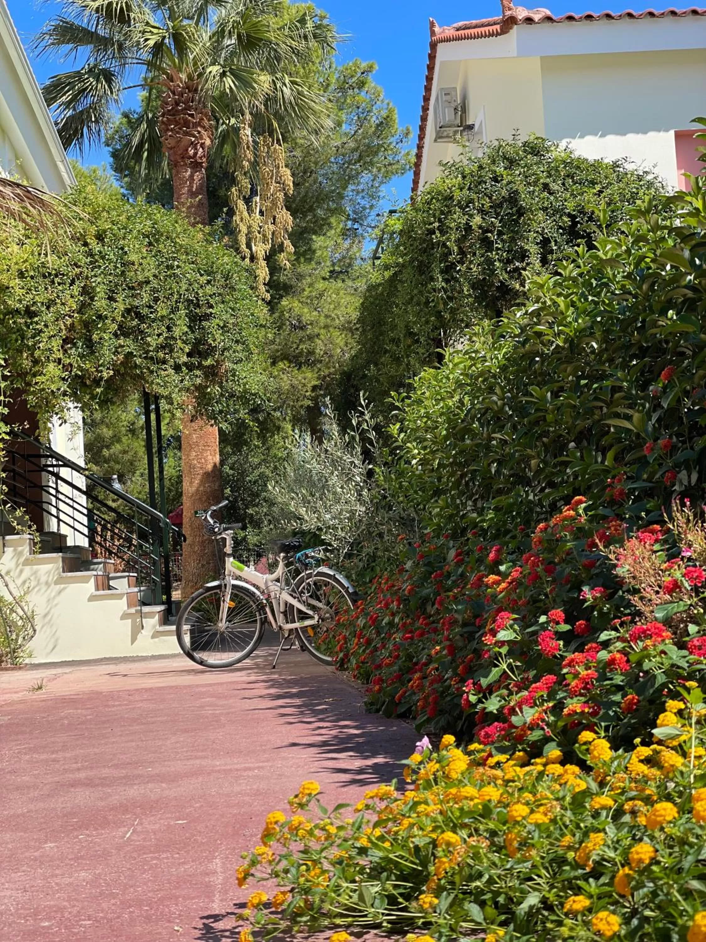 Garden in Corinthian Village