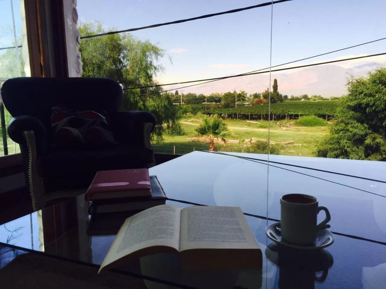 View (from property/room) in Hotel Andino - Adults Only