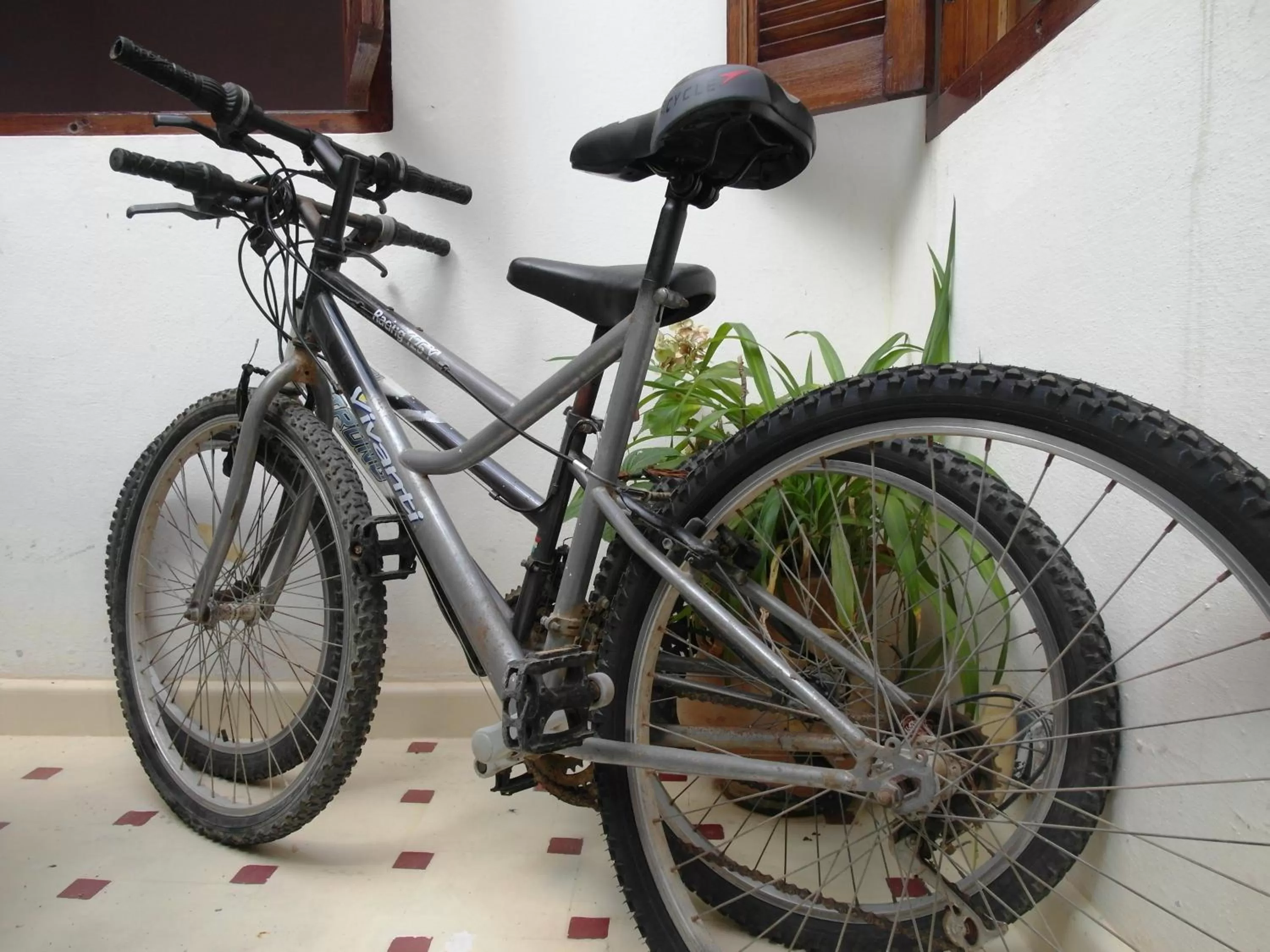 Cycling, Biking in Christina's House