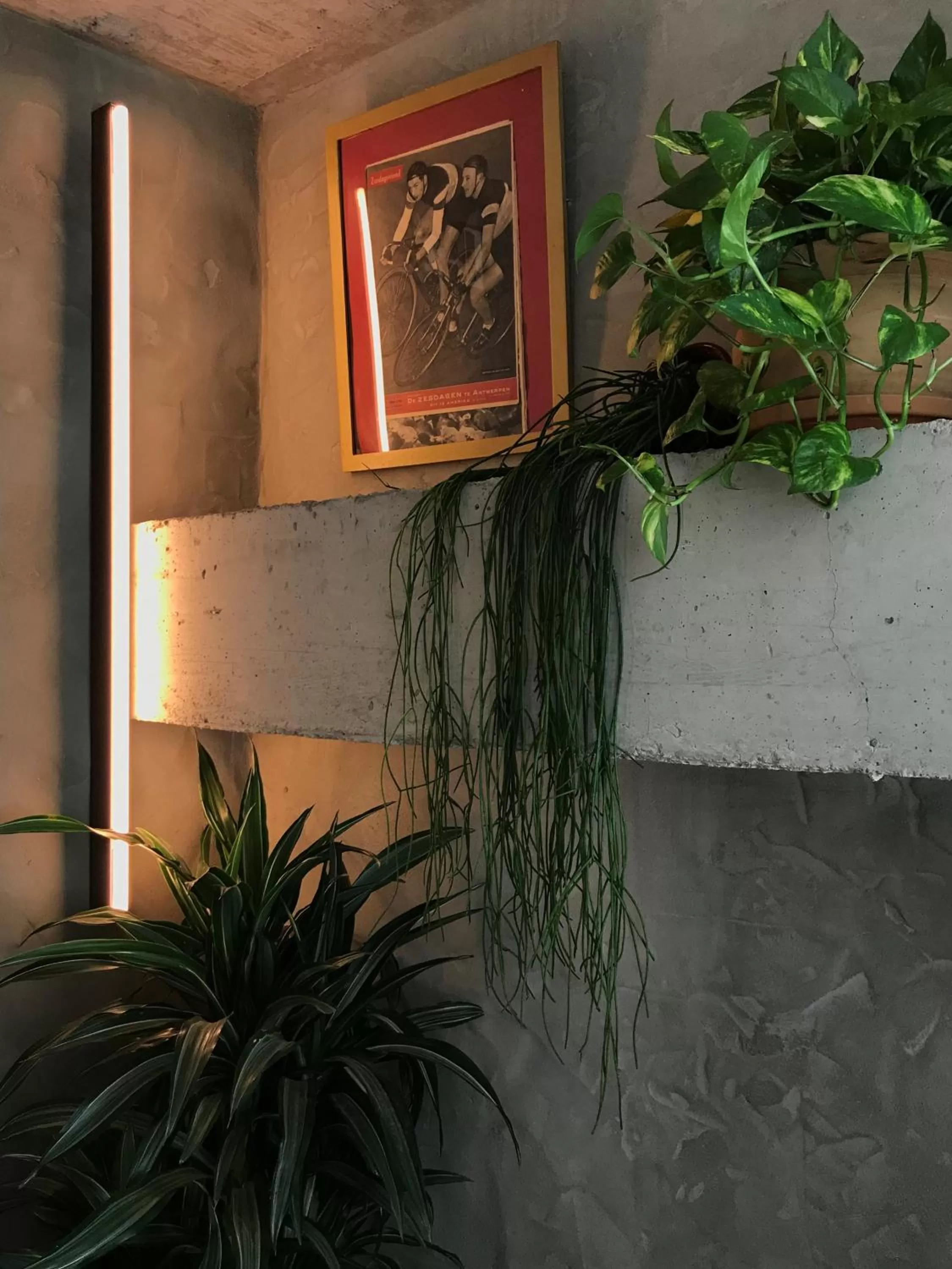 Decorative detail in Kook Hotel Tarifa