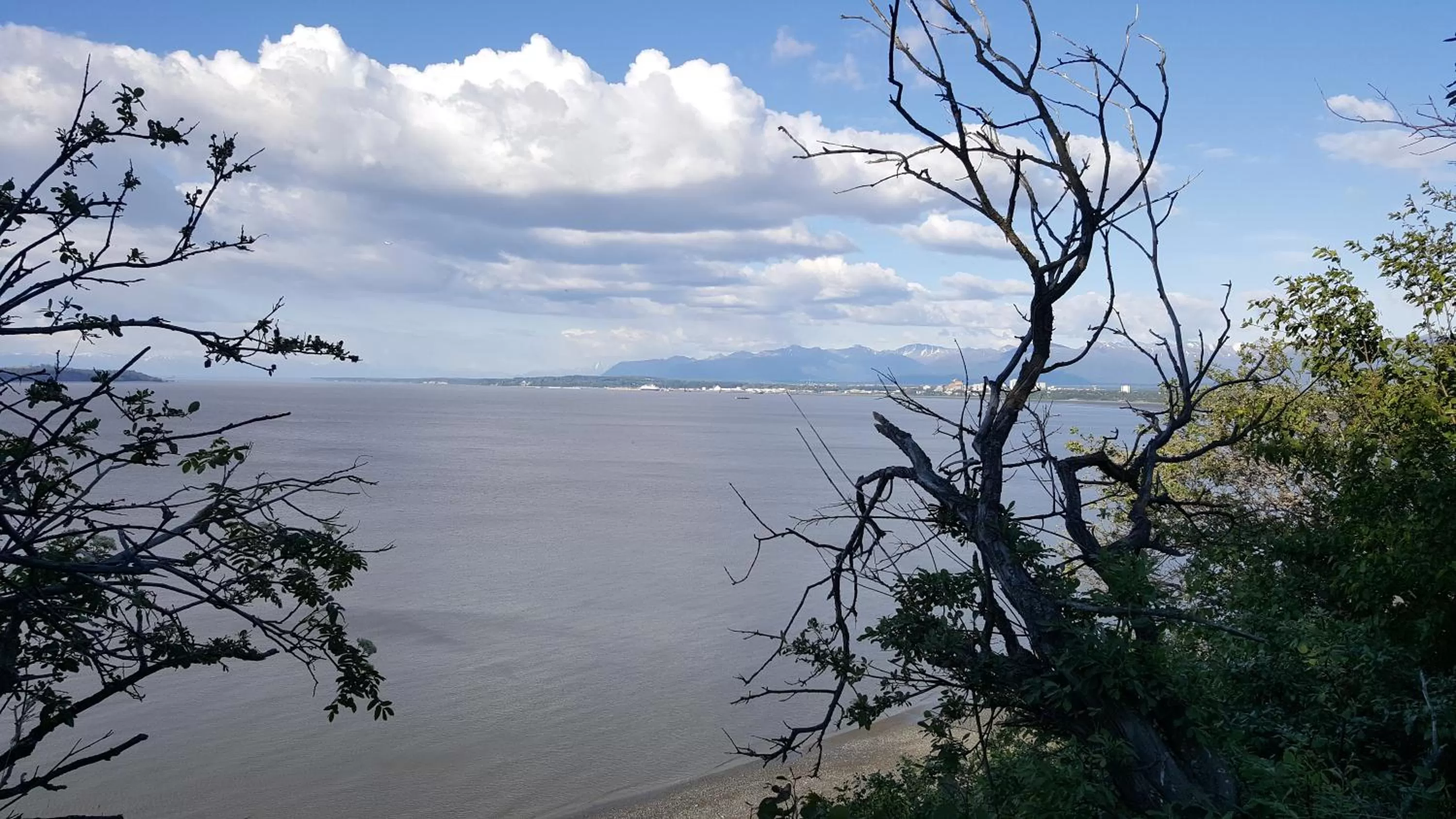 Nearby landmark in Americas Best Value Inn & Suites Anchorage Airport