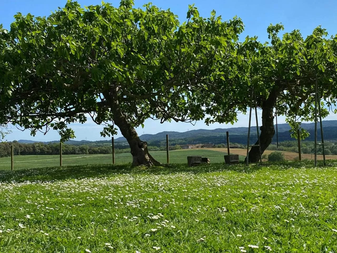 Day in Mas Feliu Turismo Rural