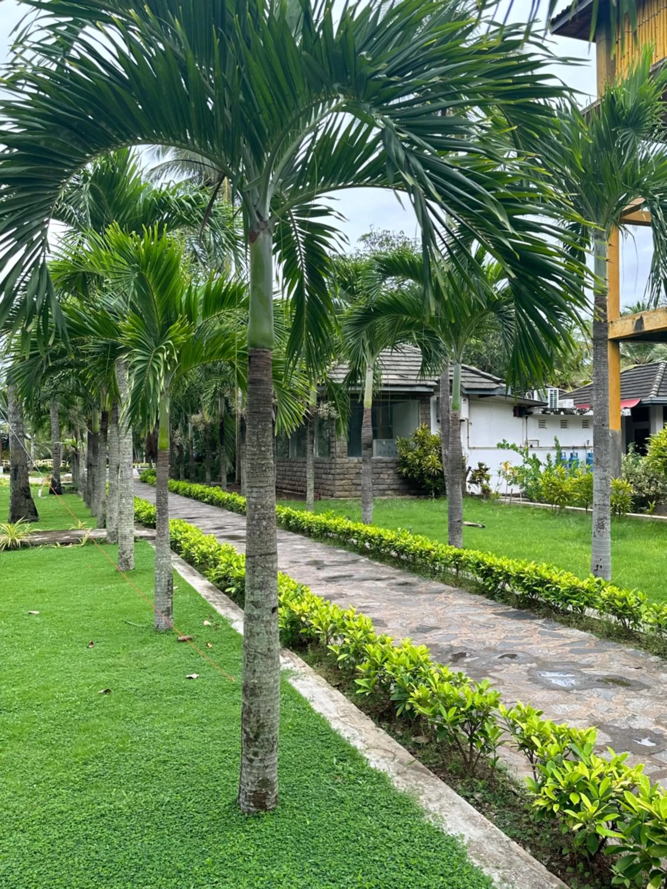 Property building in Amaluna Resorts