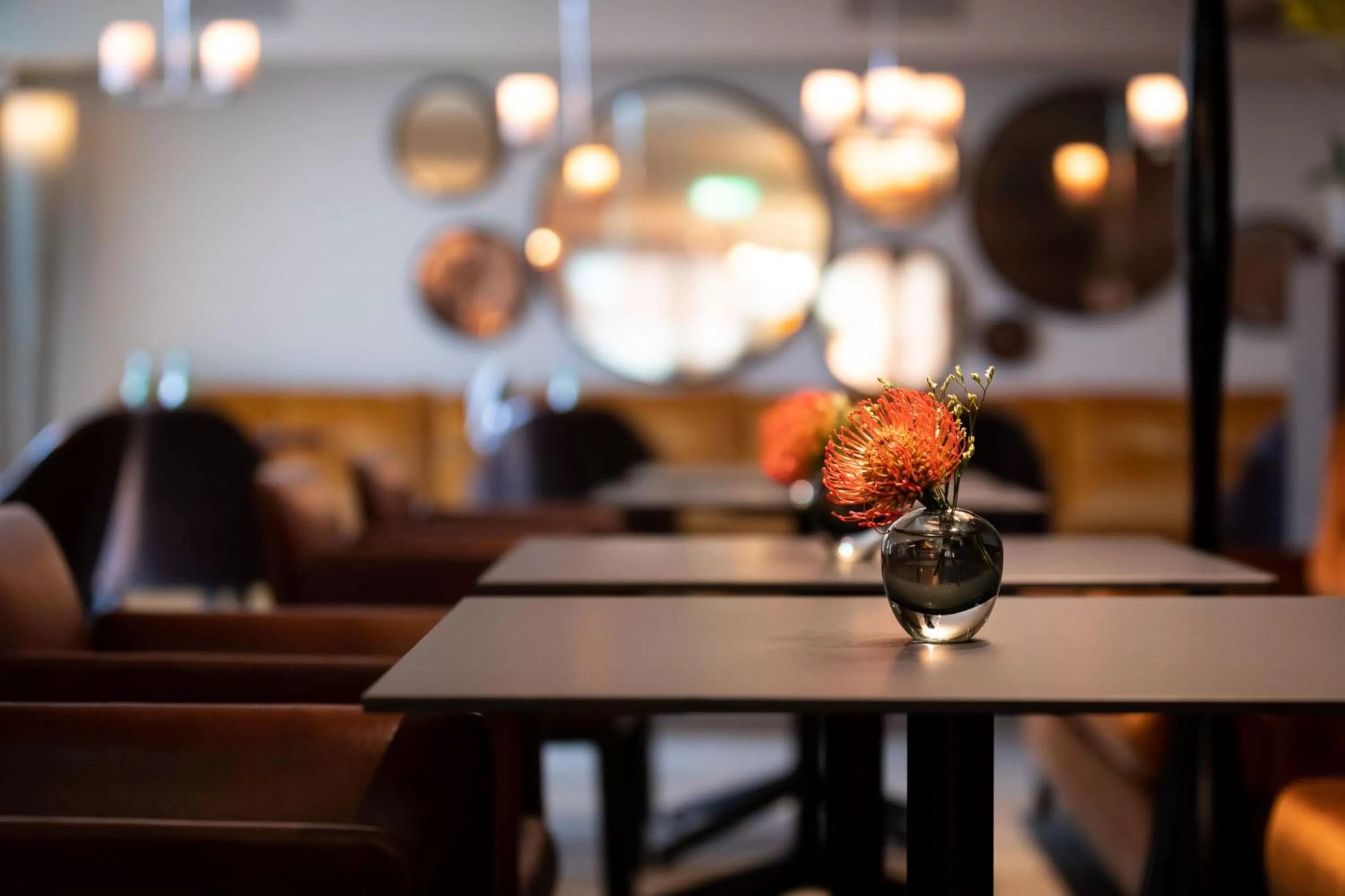 Restaurant/places to eat in Design Hotel f6