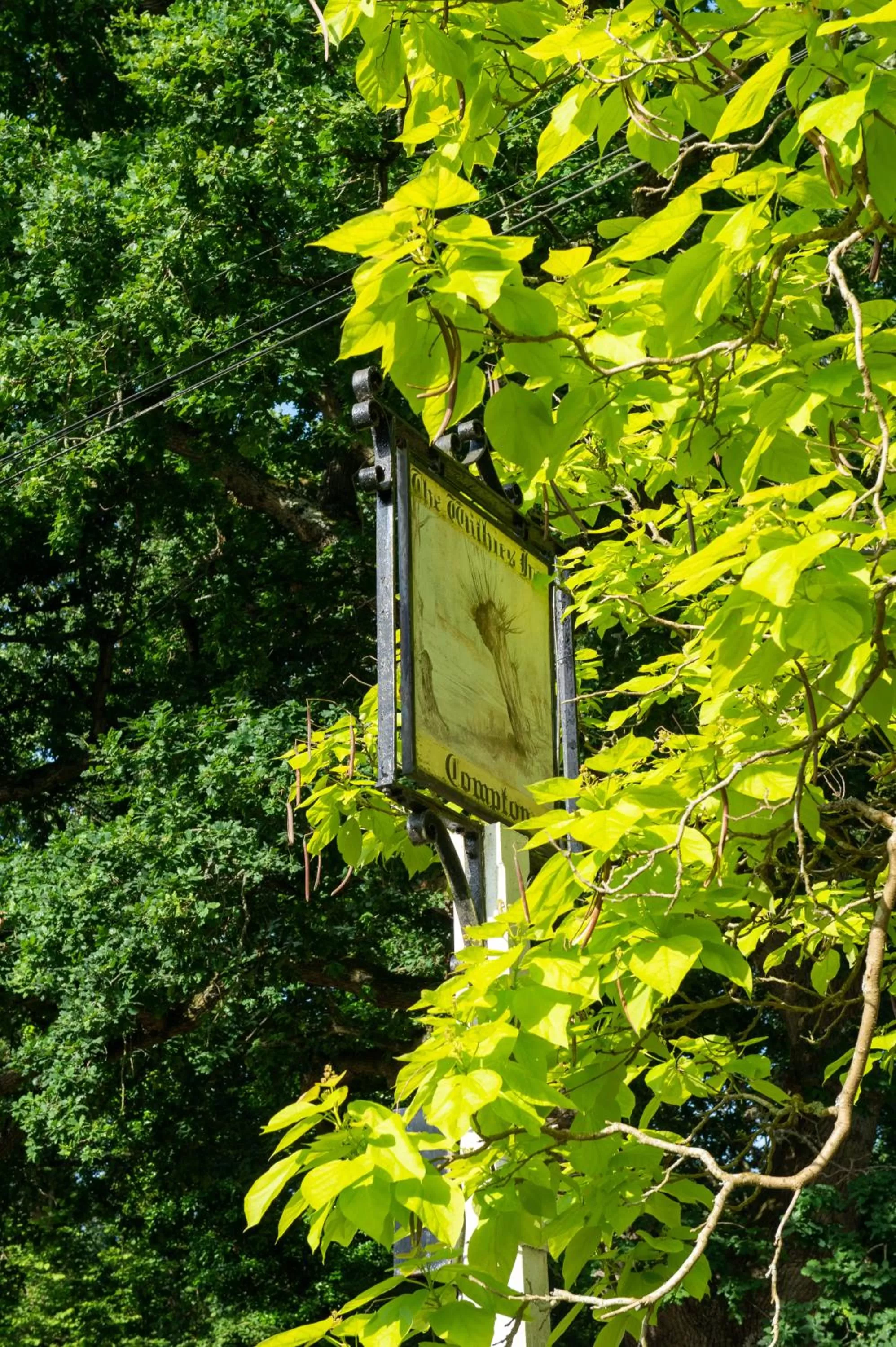 Facade/entrance in The Withies Inn