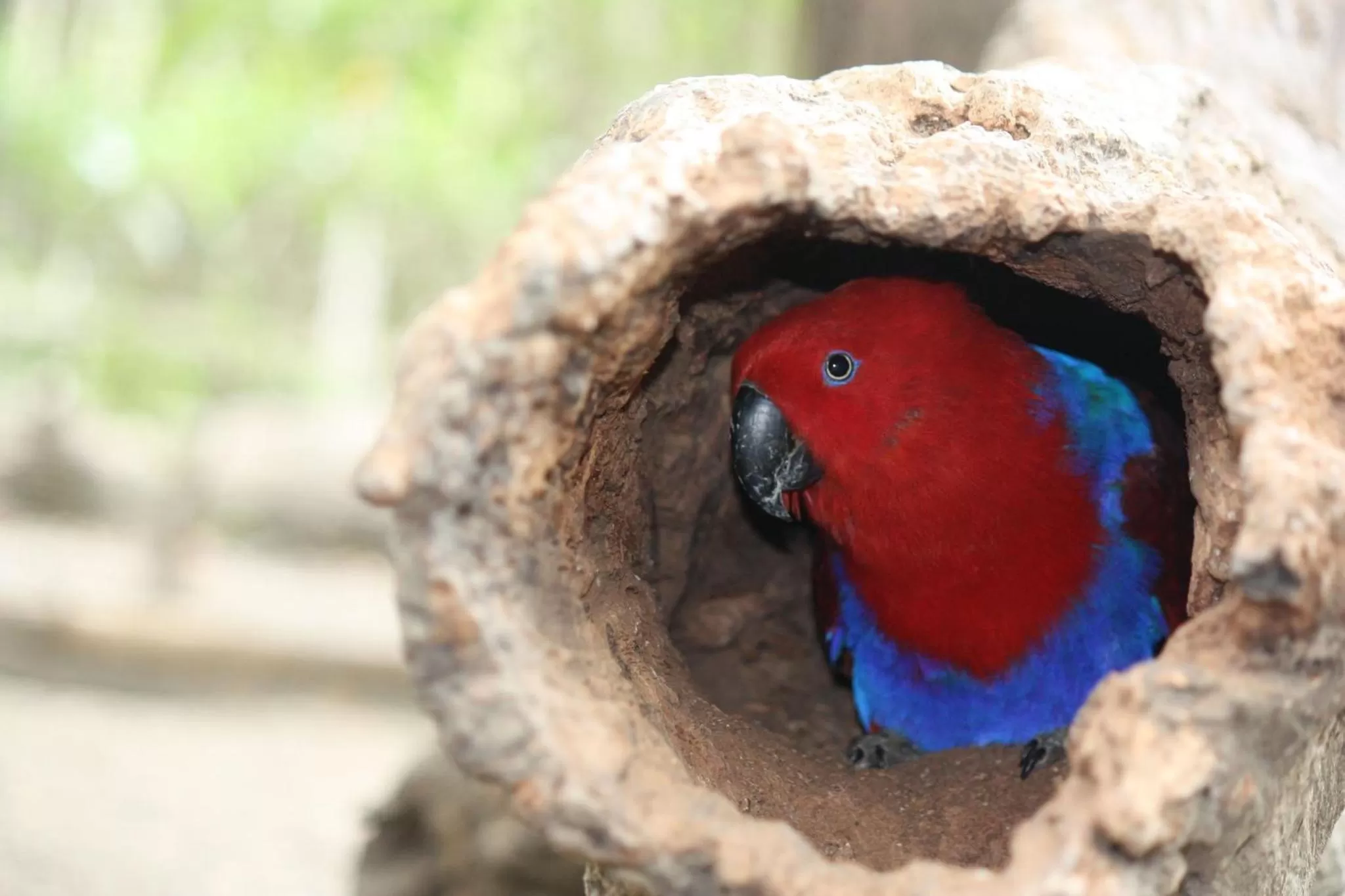 Area and facilities in Holiday Inn Express Port Moresby by IHG