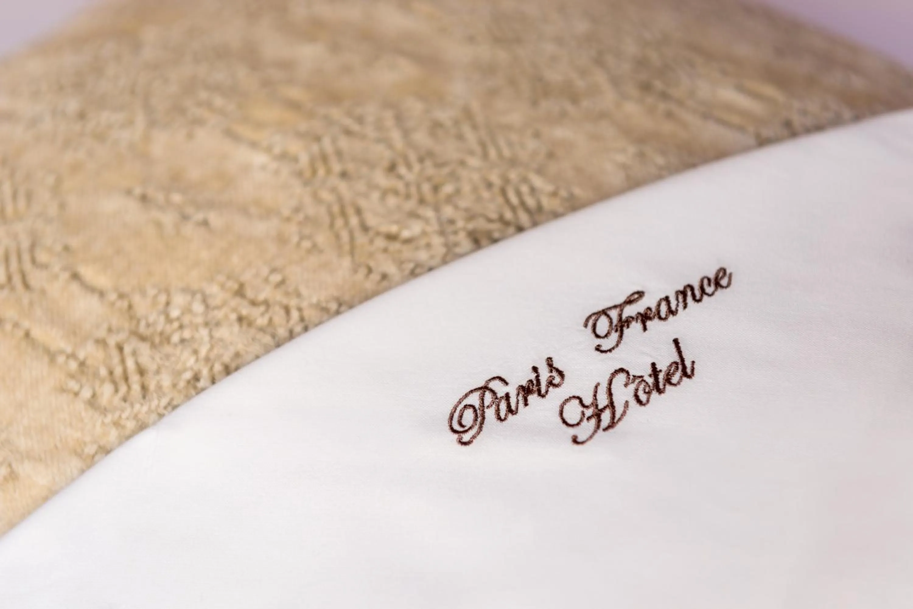 Decorative detail in Paris France Hotel