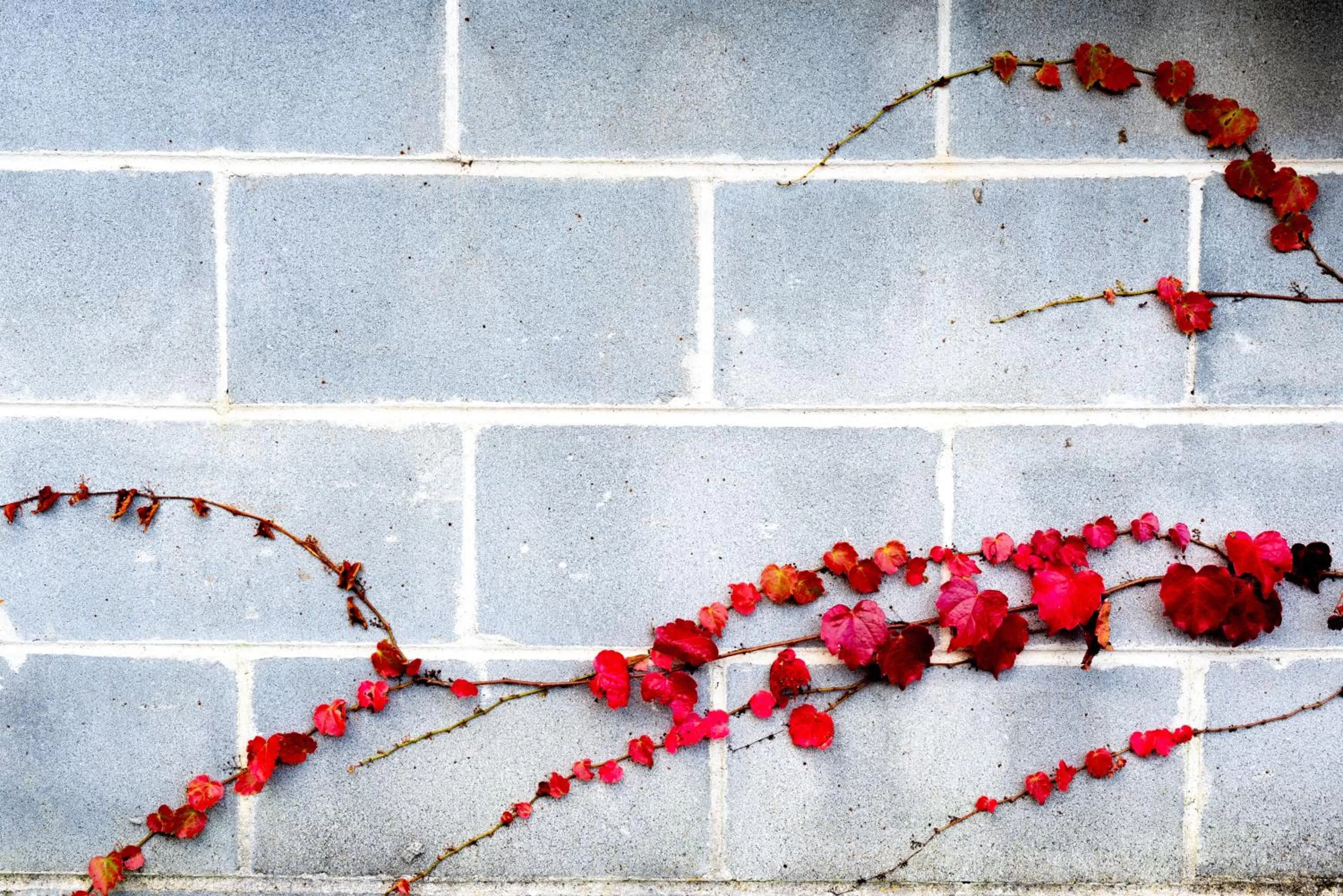 Property building in Park Proxi Gibraltar Bowral