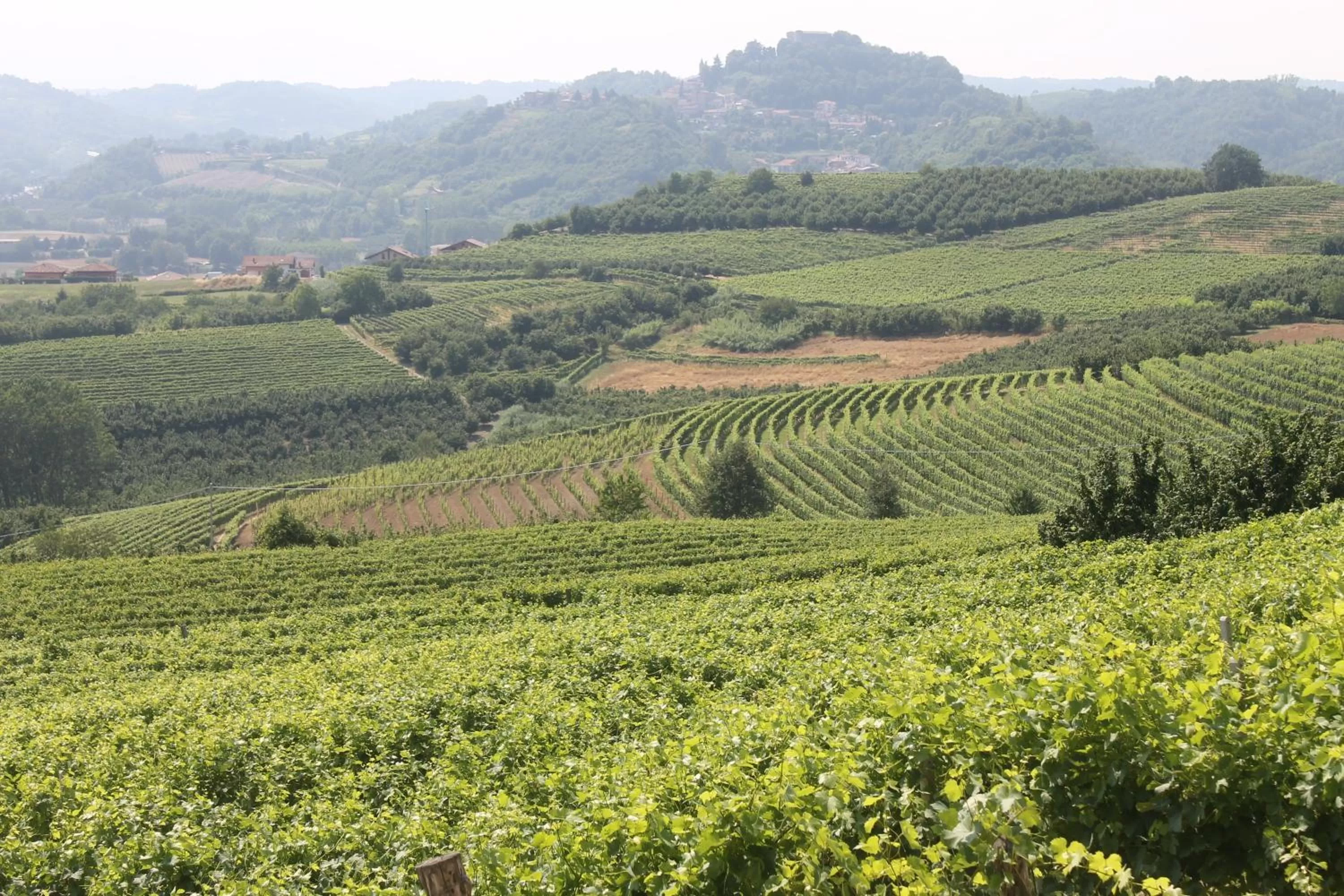 Nearby landmark in Foresteria Ristorante Conti Roero