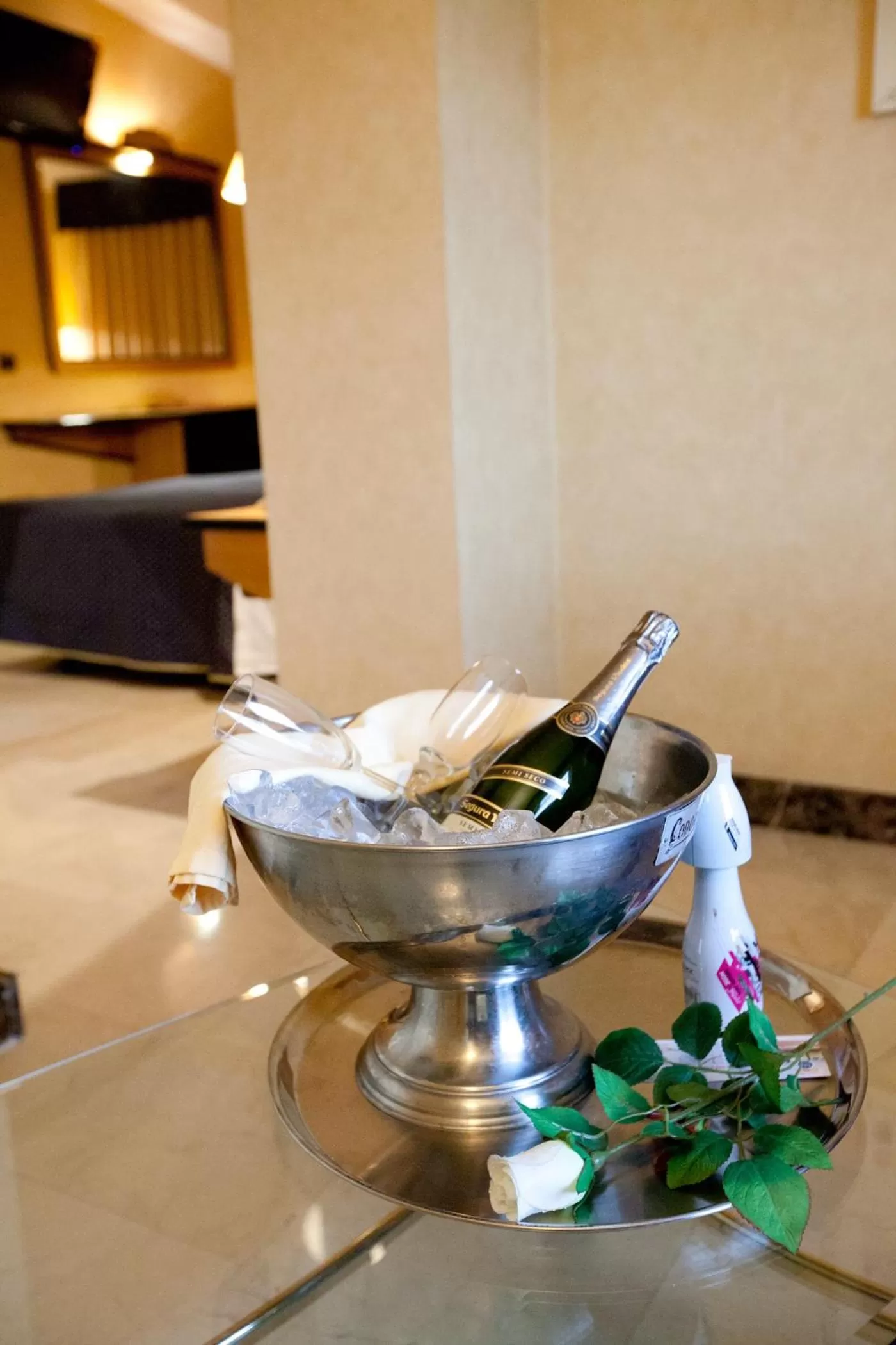 Drinks in Hotel Ciudad de Navalcarnero