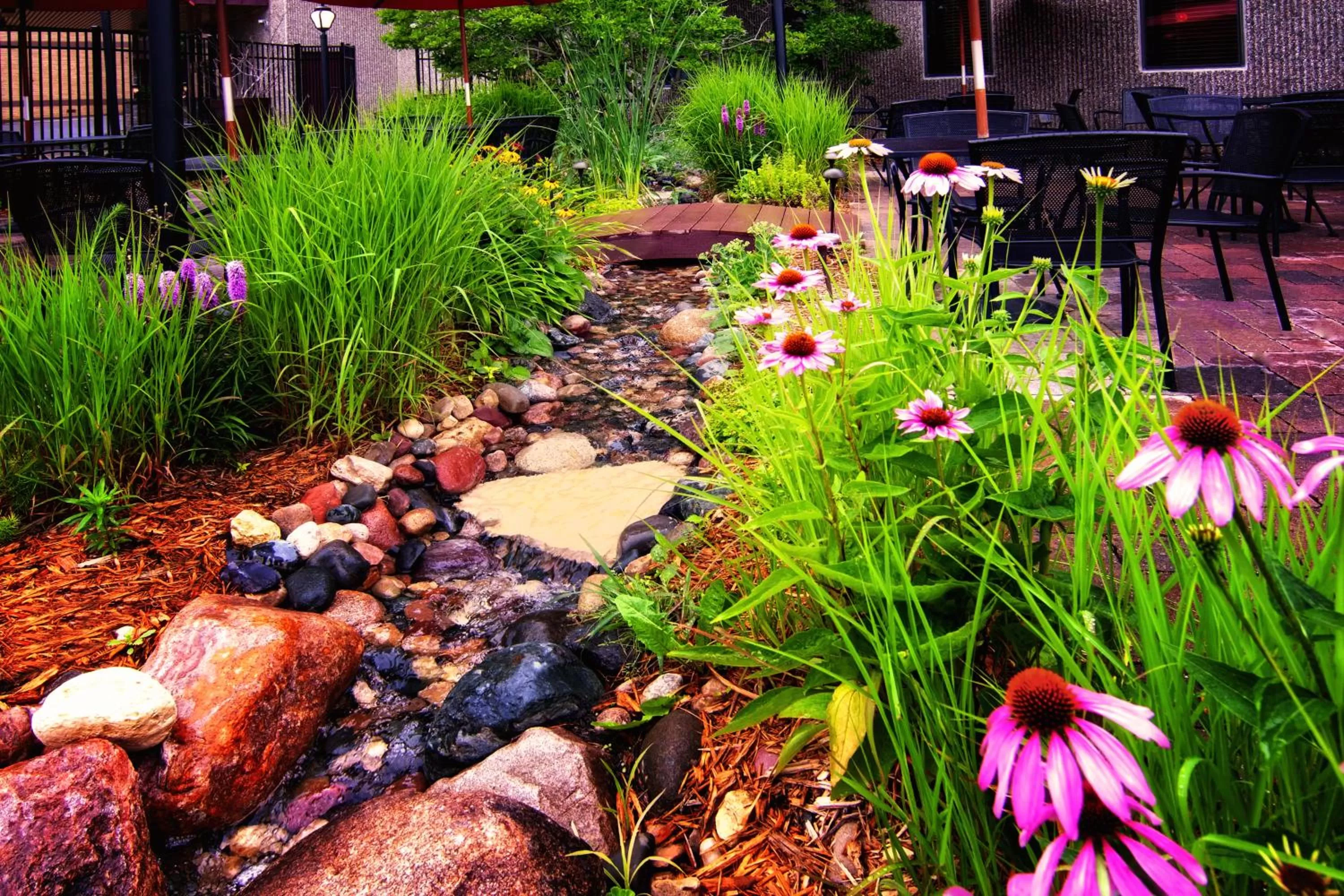 Restaurant/places to eat in Centerstone Plaza Hotel Soldiers Field - Mayo Clinic Area