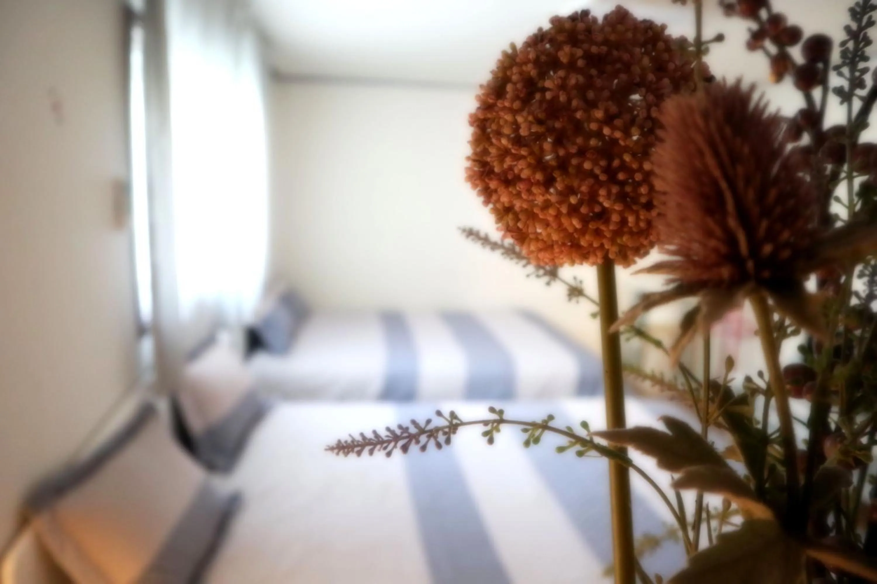 Photo of the whole room, Bed in Jeong House