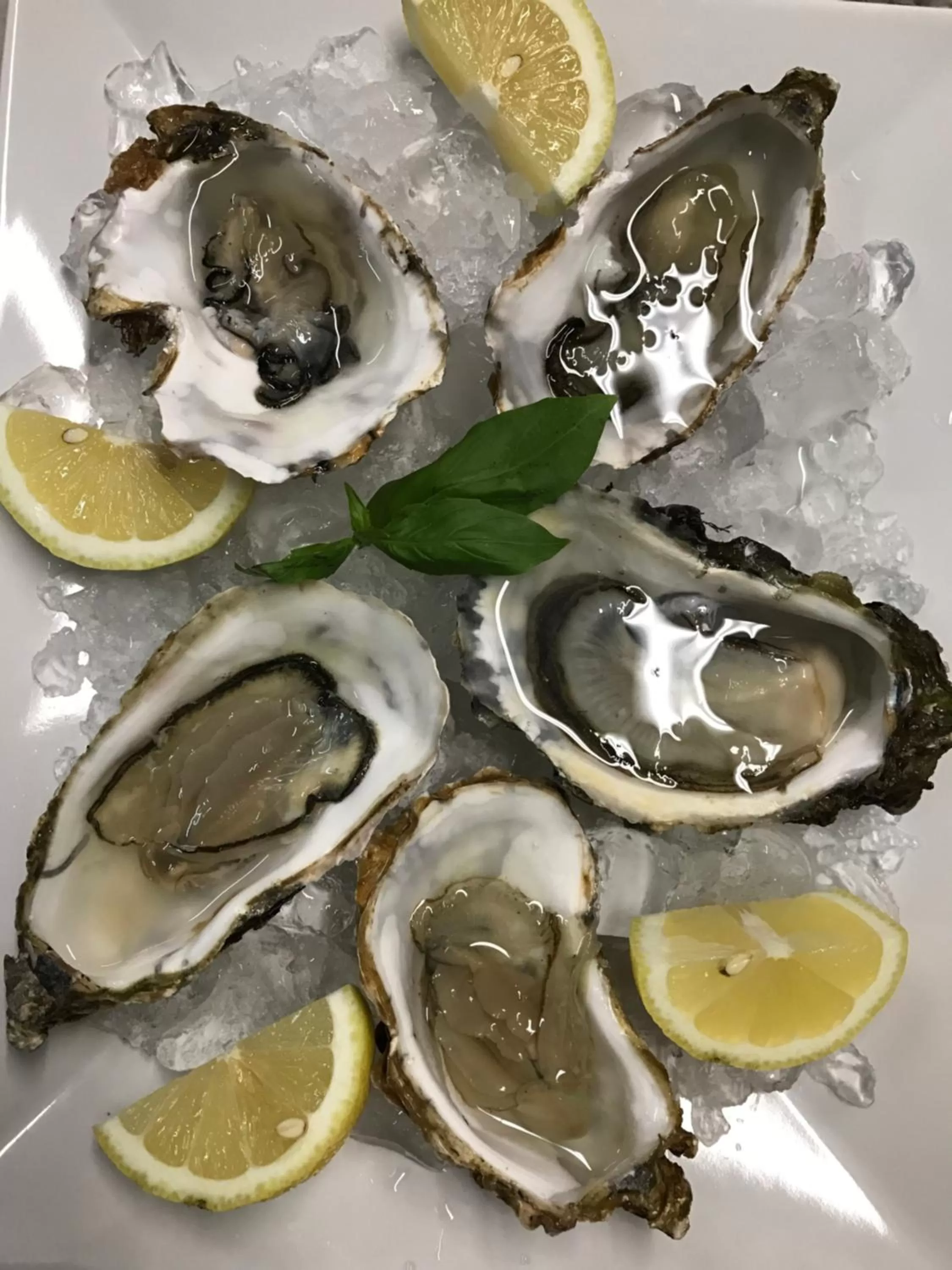 Dinner in Villa Greta Hotel Rooms & Suites