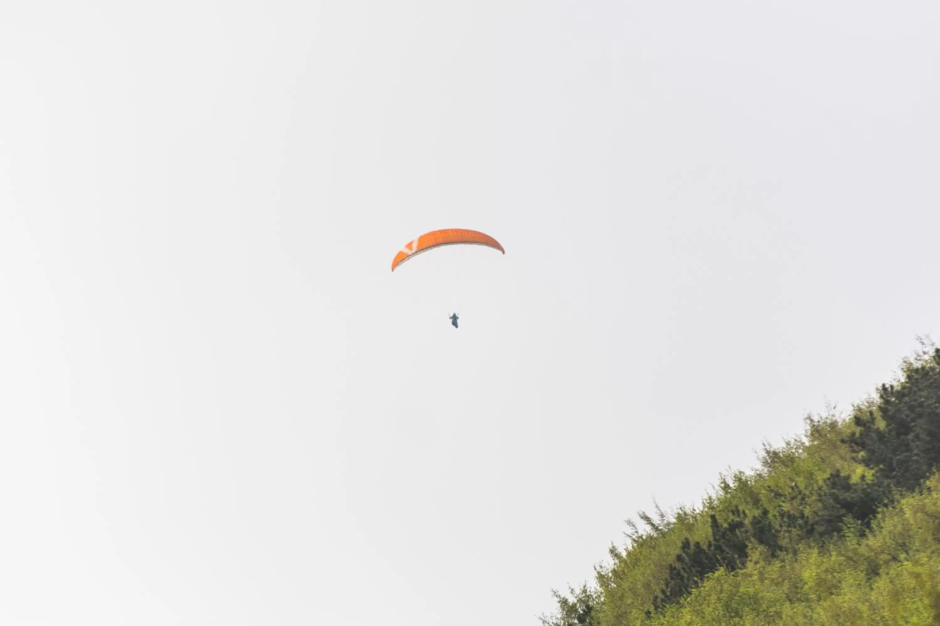 Other Activities in Albergo Dalla Mena