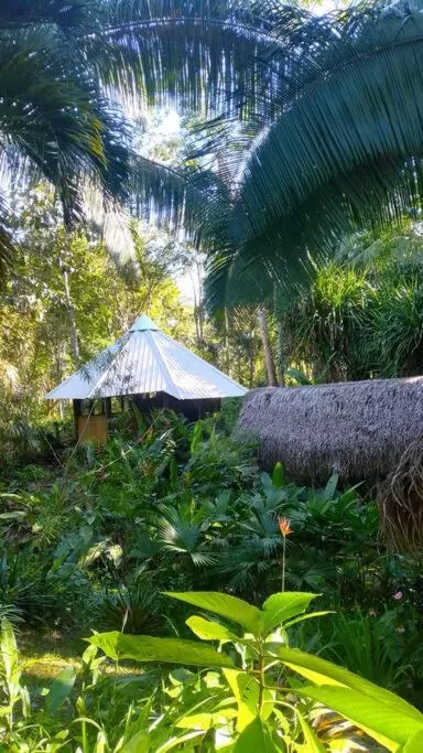 Day, Garden in Sun Creek Lodge