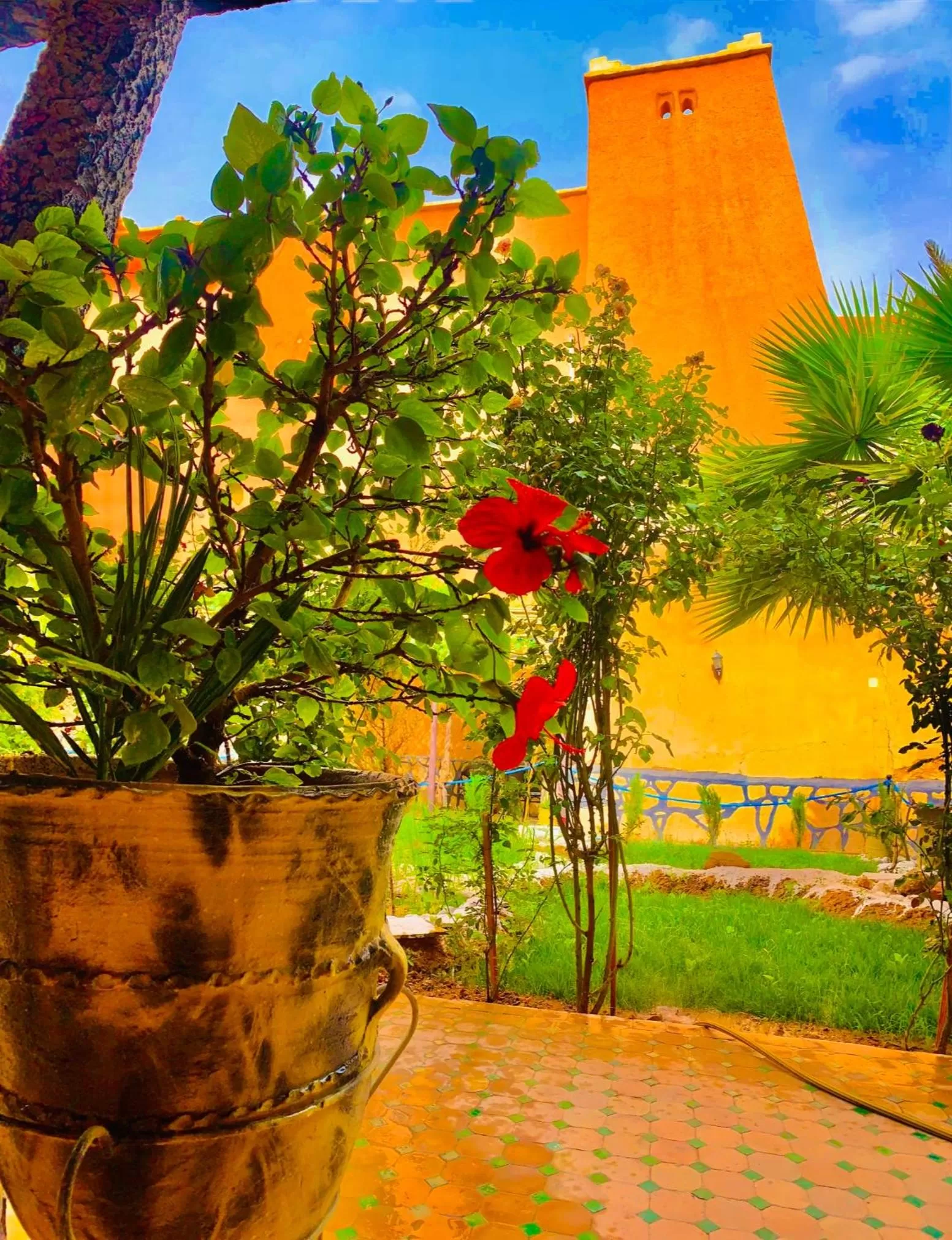 Garden in Hotel Restaurant La Kasbah