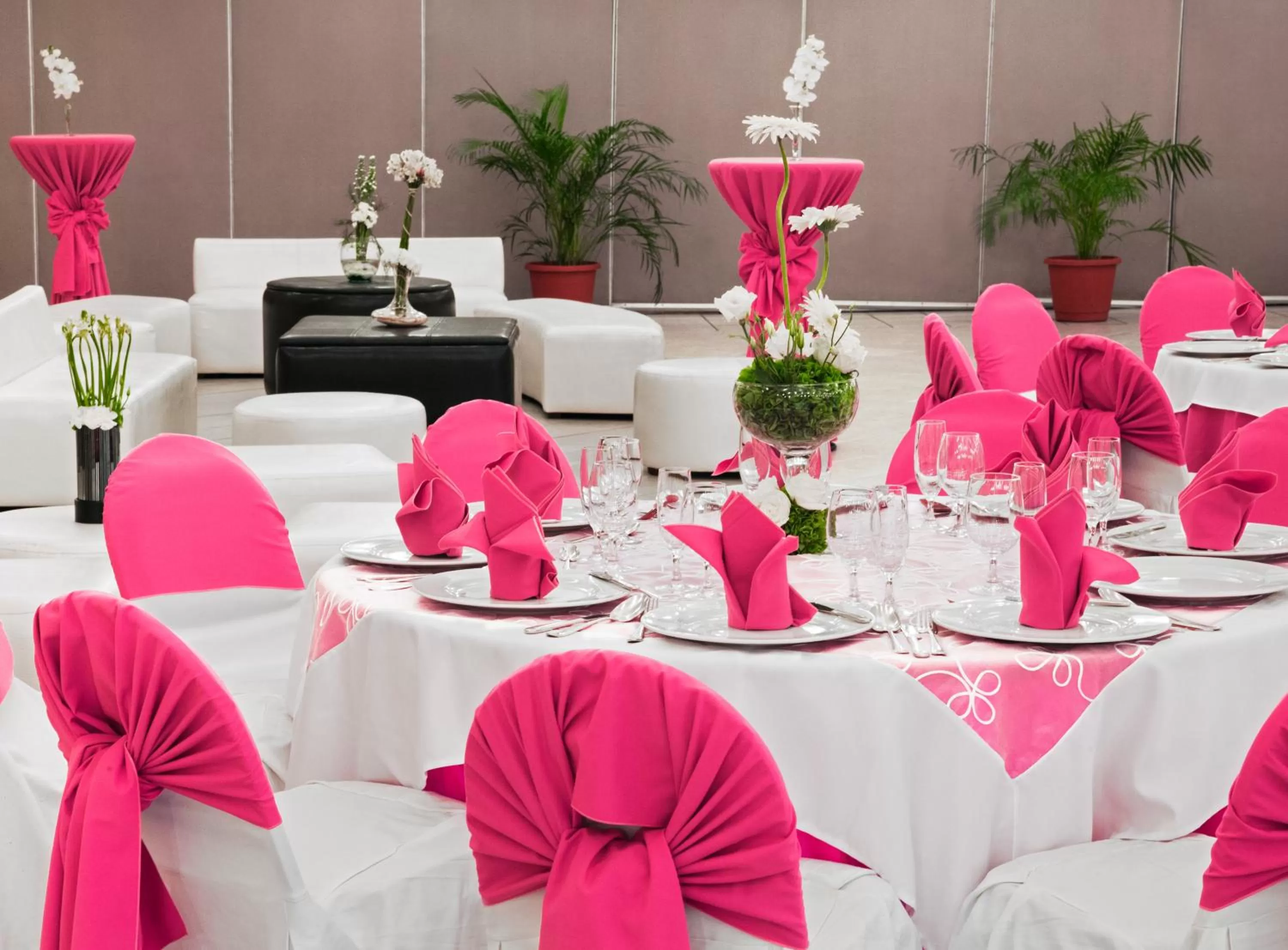 Banquet/Function facilities in Hotel Viva Villahermosa
