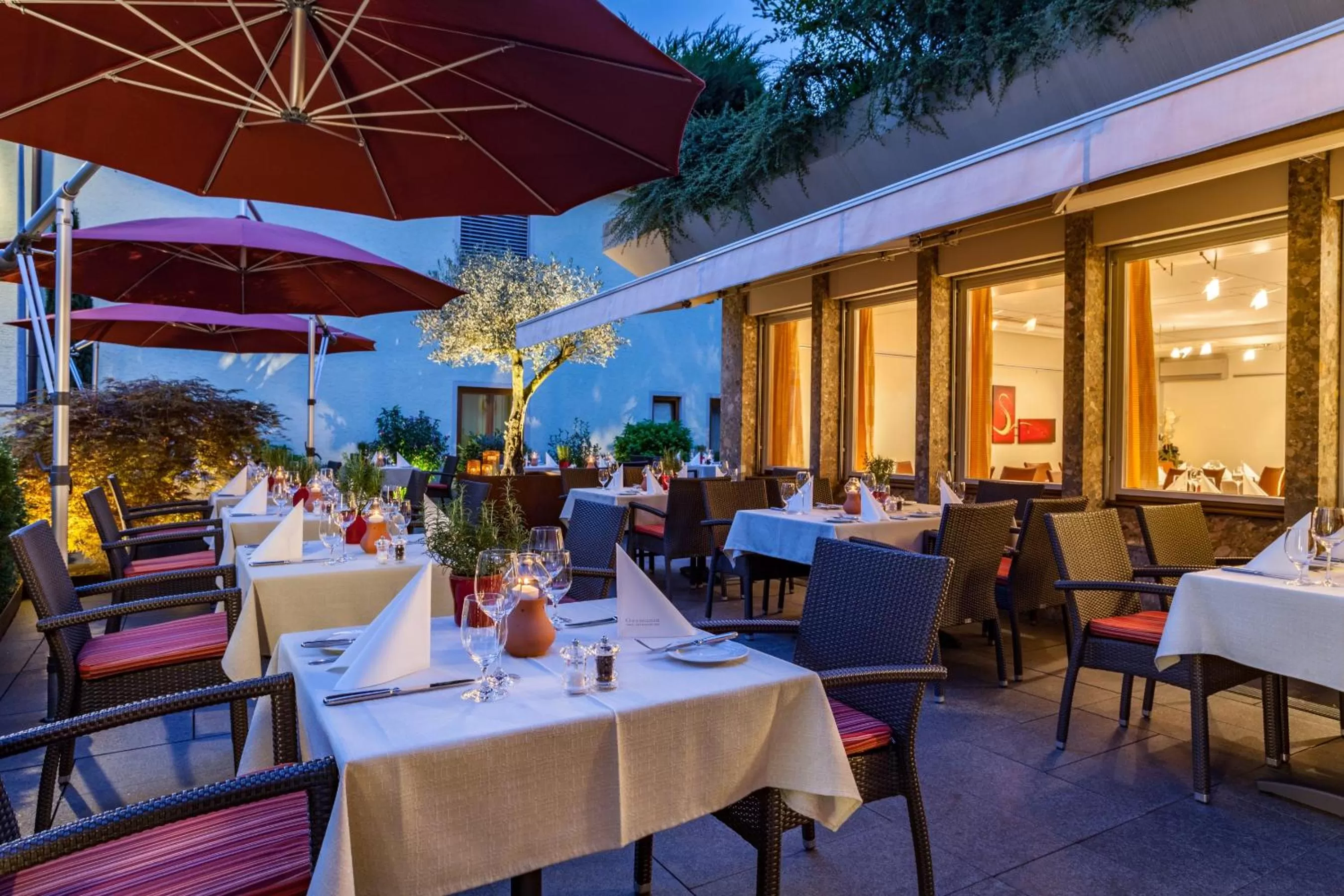 Garden in Hotel Germania