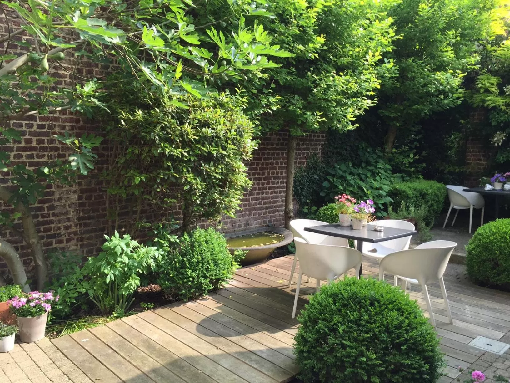 Garden in B&B Sabbajon