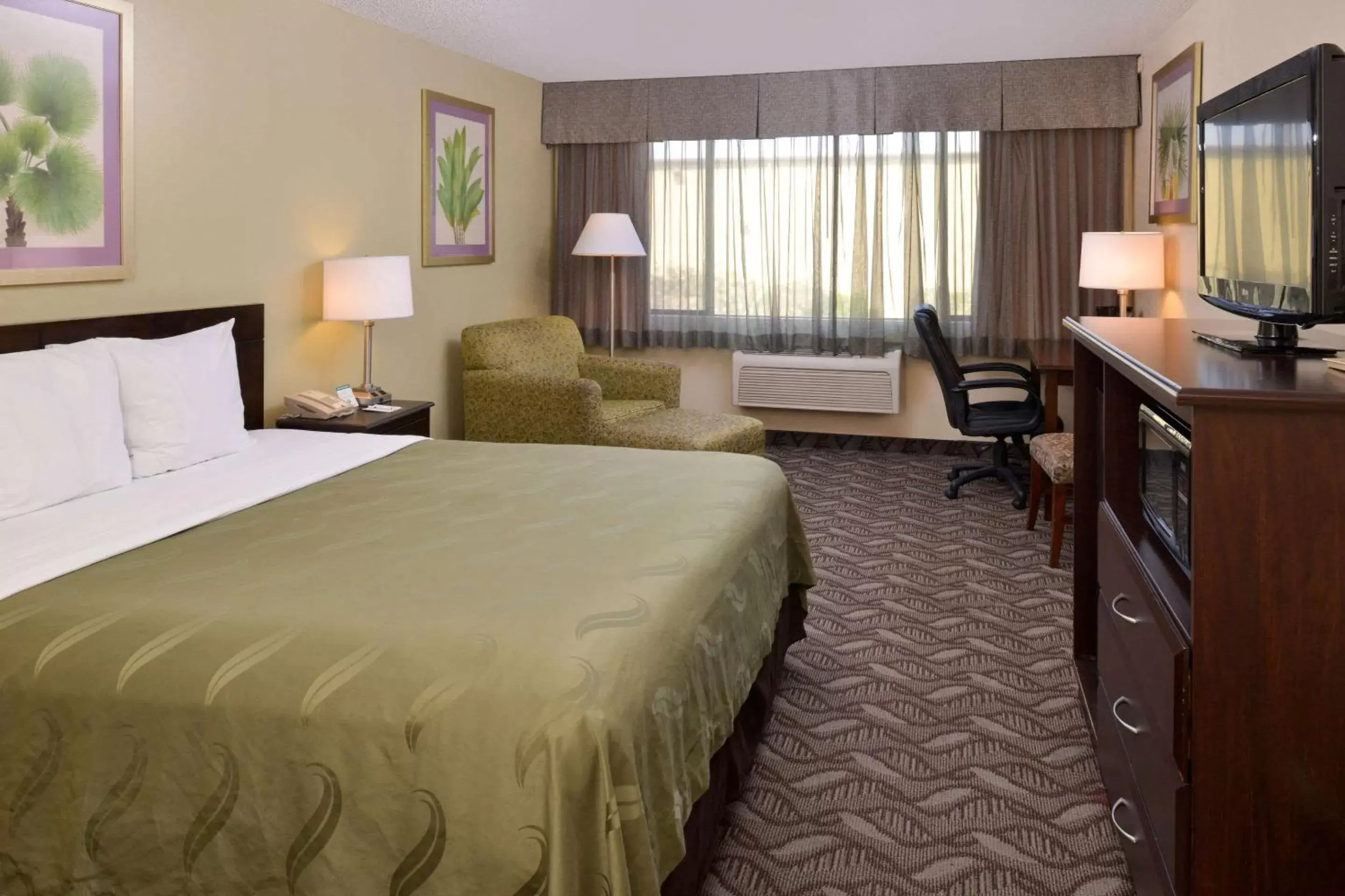 Standard Room, 1 King Bed, Accessible, Roll-In Shower, Non Smoking in Quality Inn & Suites Montebello - Los Angeles Standard Room, 1 King Bed, Accessible, Roll-In Shower, Non Smoking in Quality Inn & Suites Montebello - Los Angeles