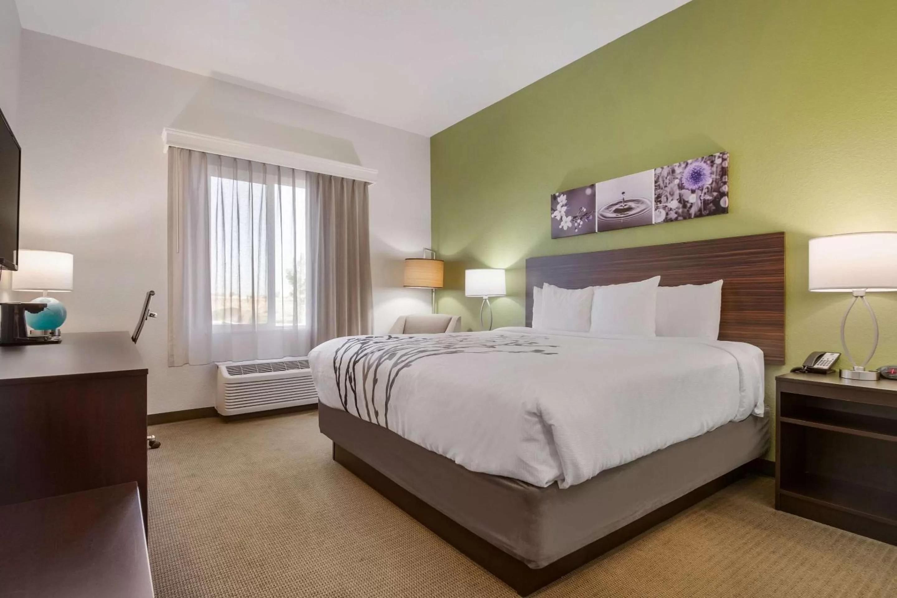 Photo of the whole room, Bed in Sleep Inn Boardman