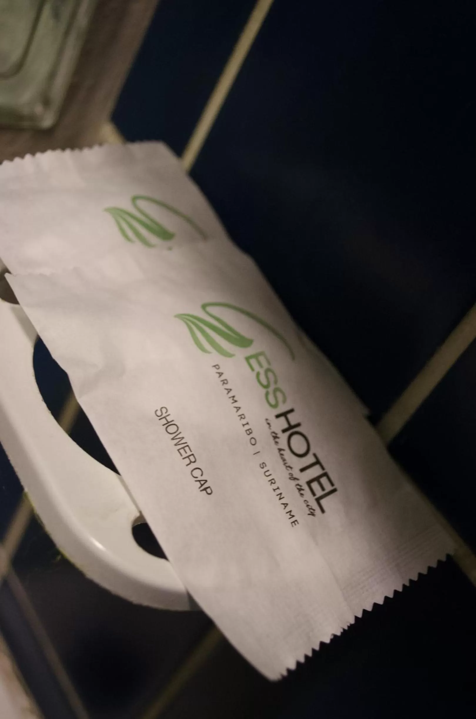 Property Logo/Sign in Gess Hotel